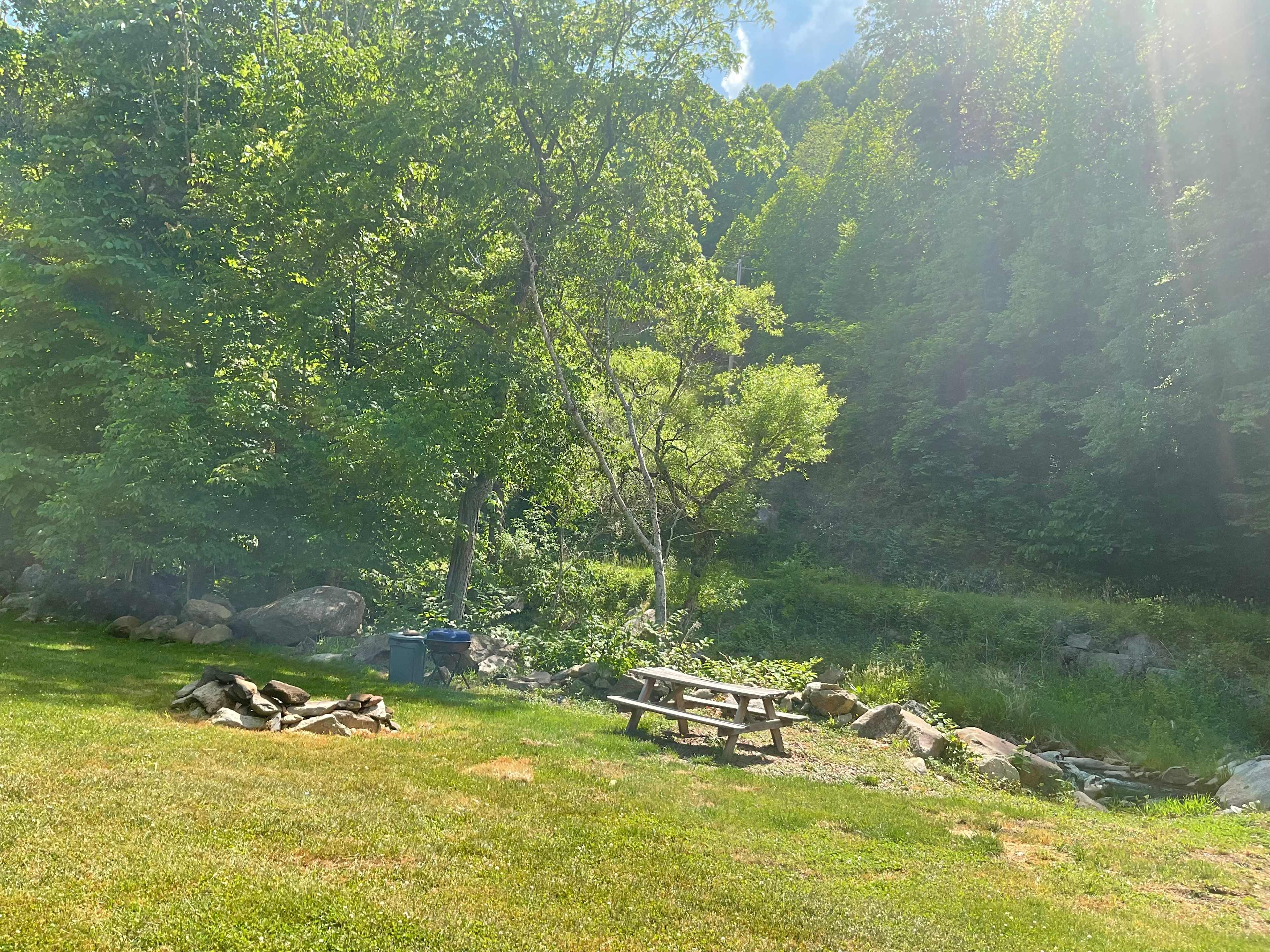 Picture of the site