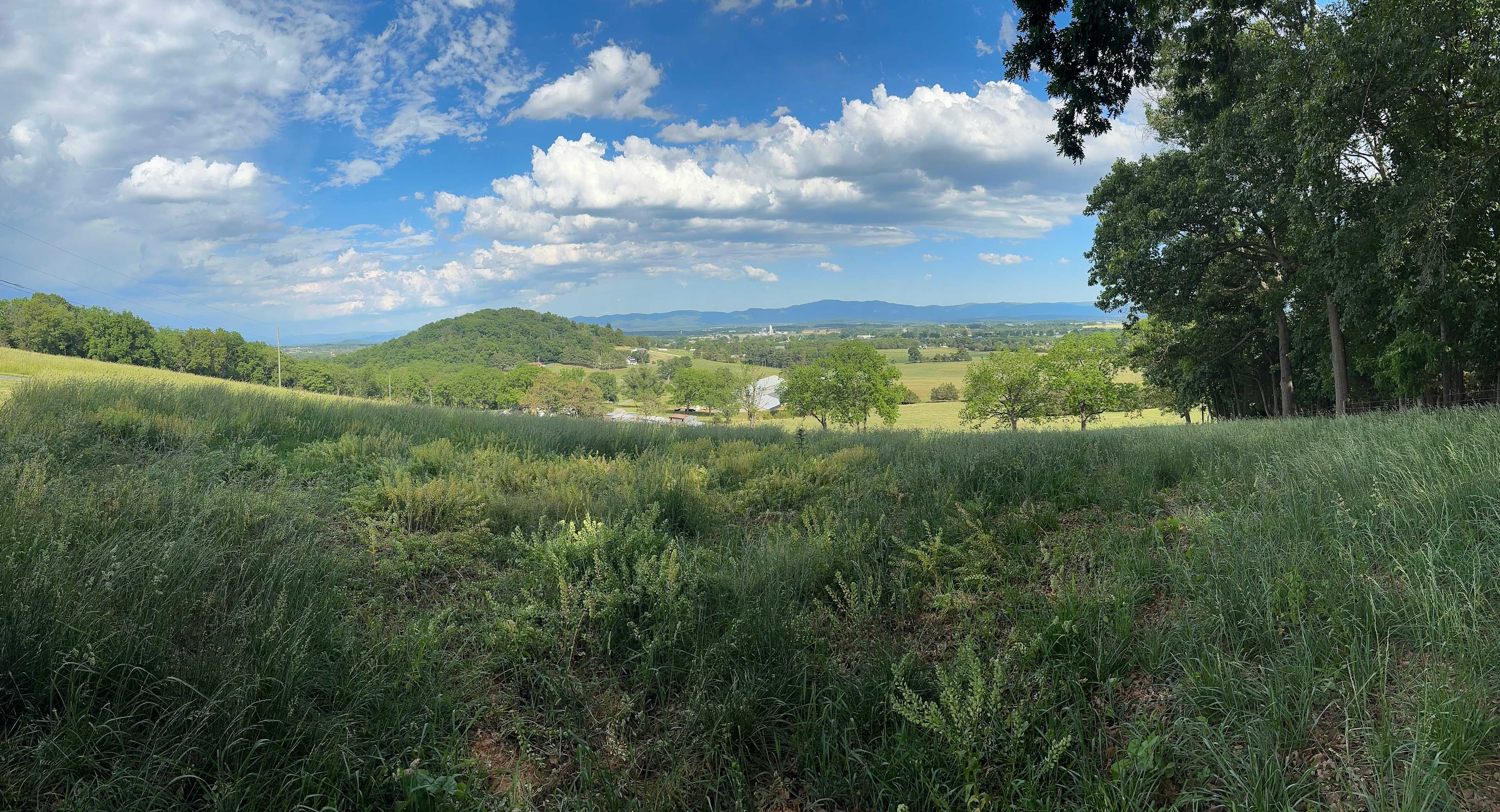 Dices Spring Farm Camp & Views