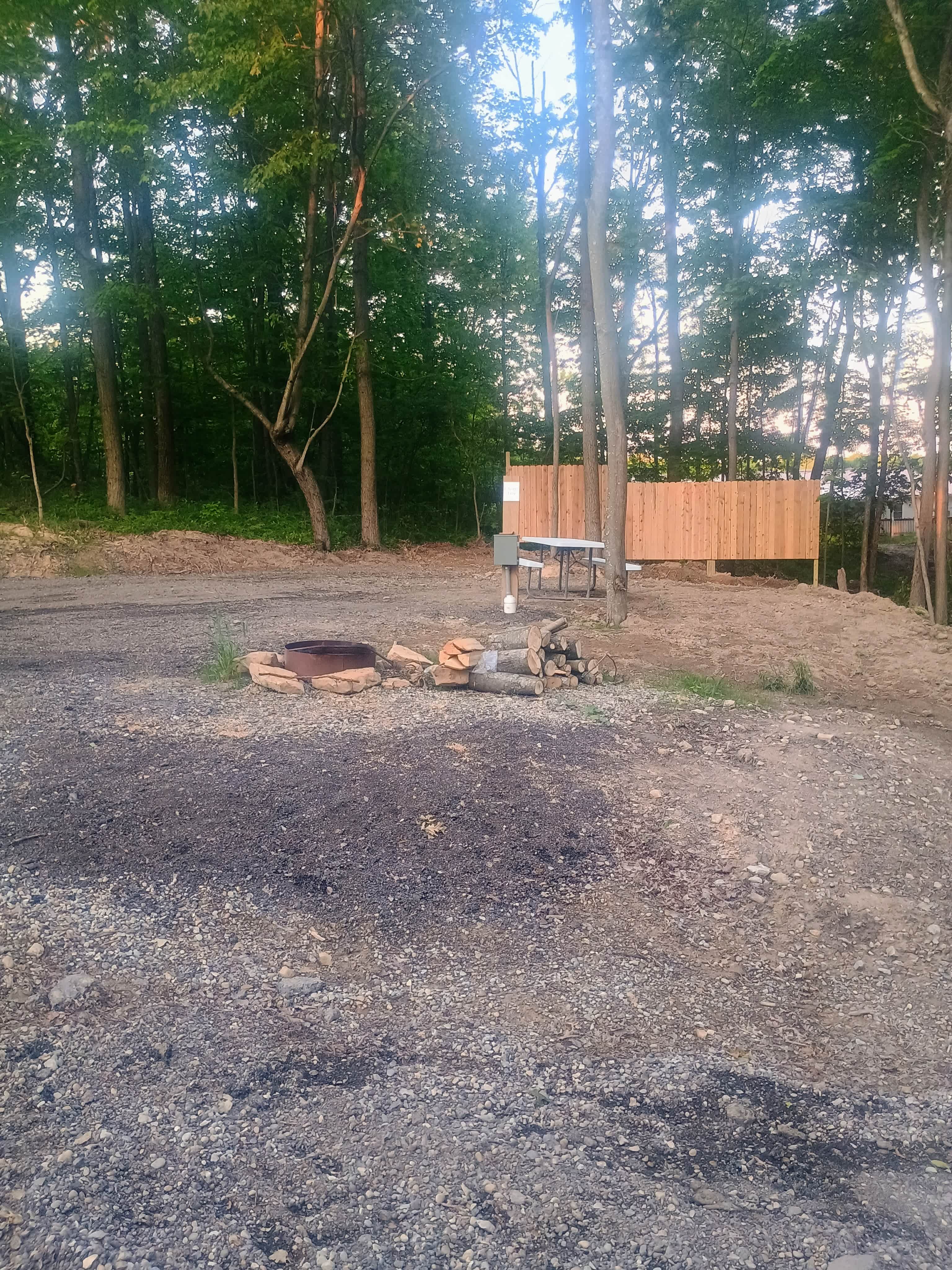 Picture of the site