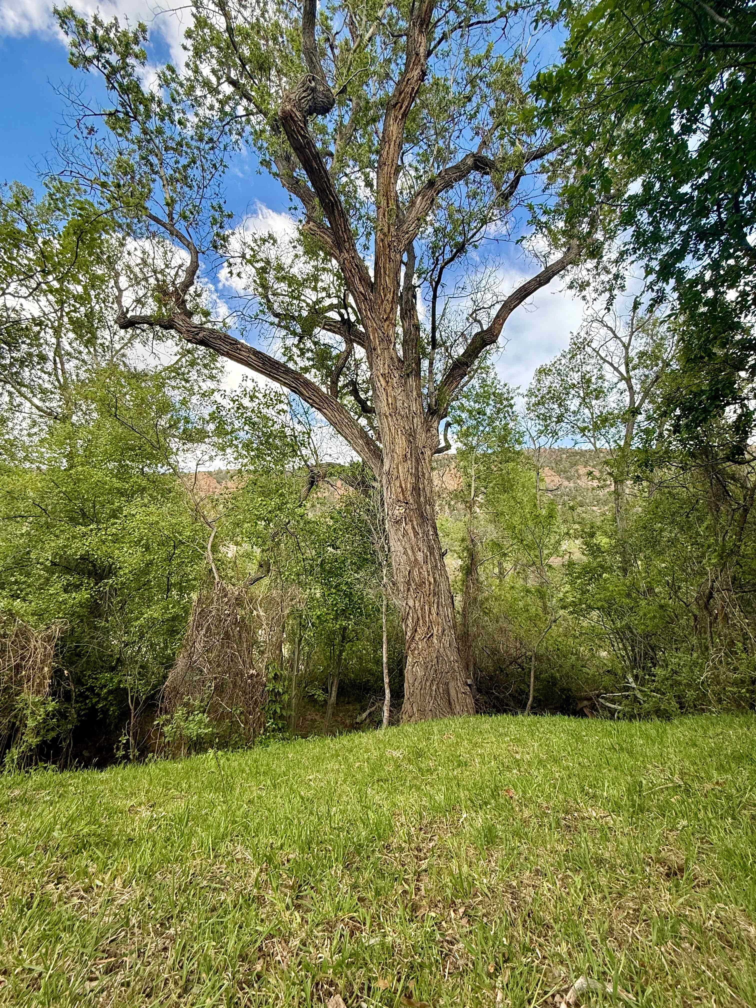 Sleeping Bear Canyon