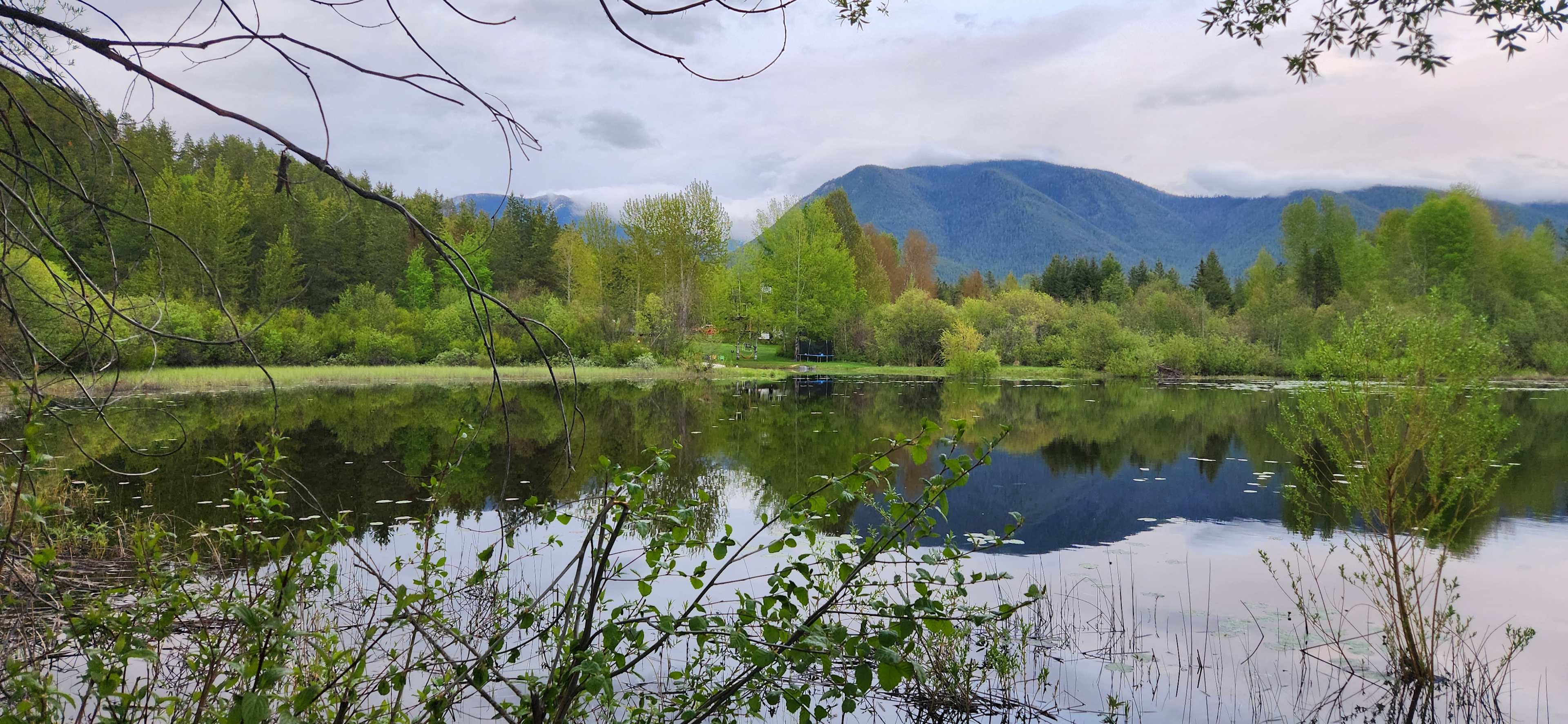 Pond near property entrance 