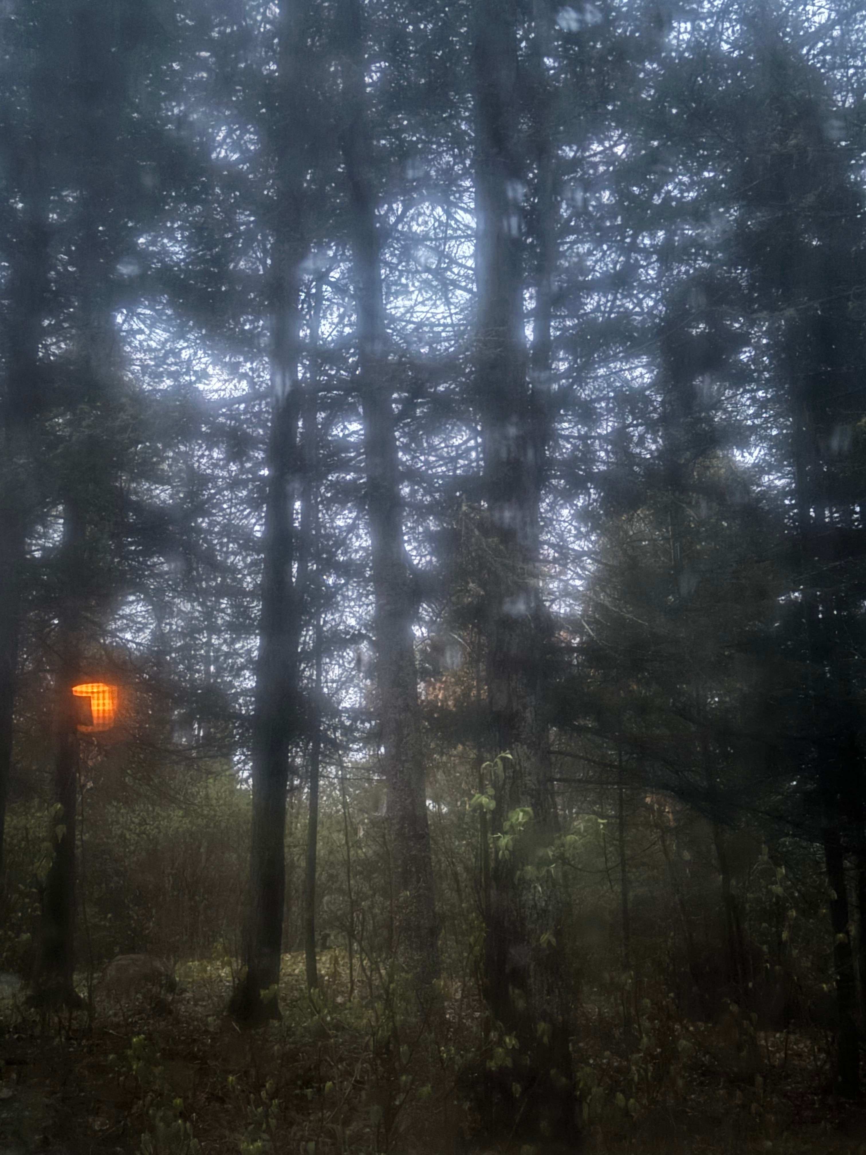 LeTerrain-400acre dark sky Park