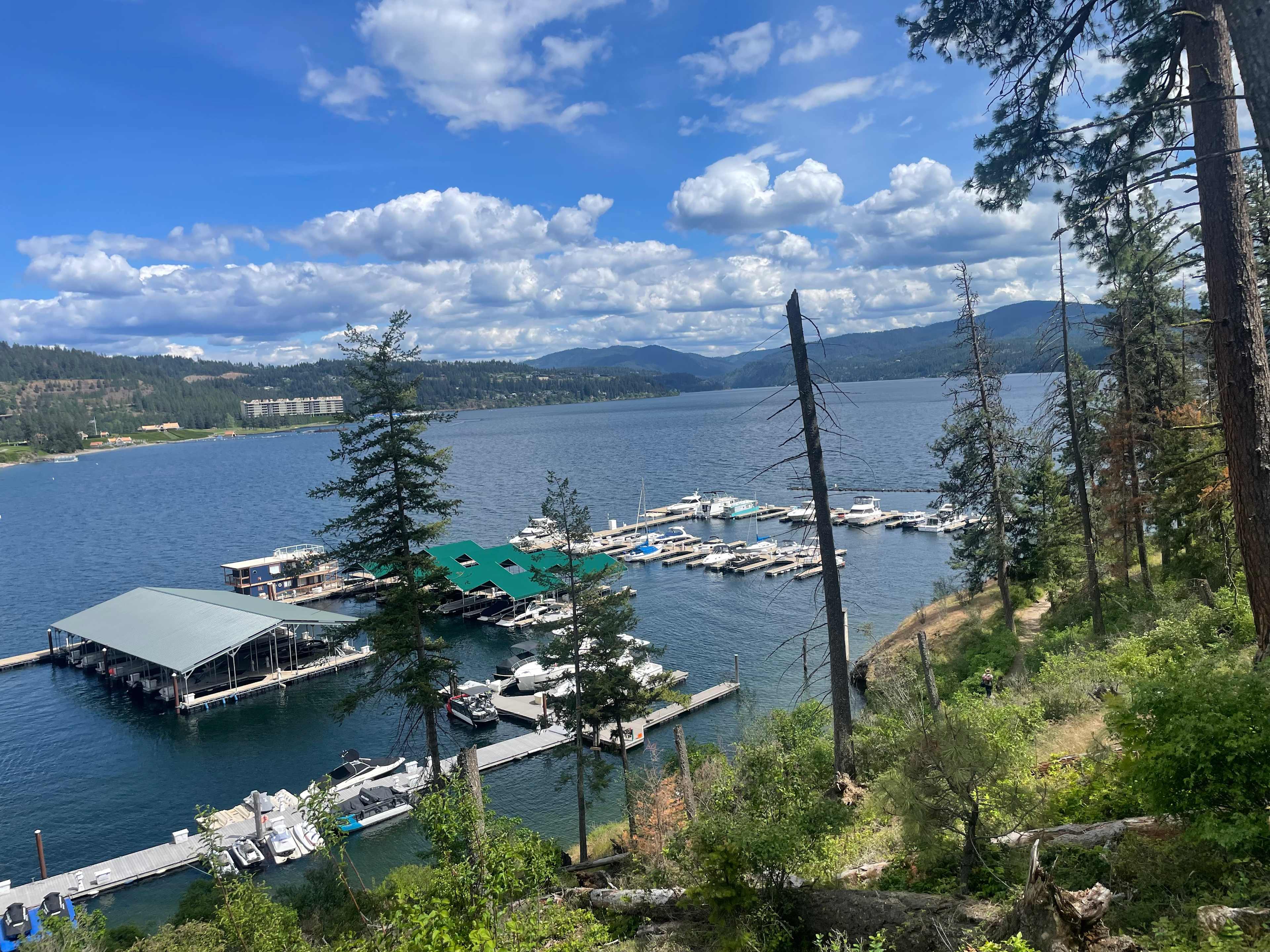 View of the Spokane River from the Site 