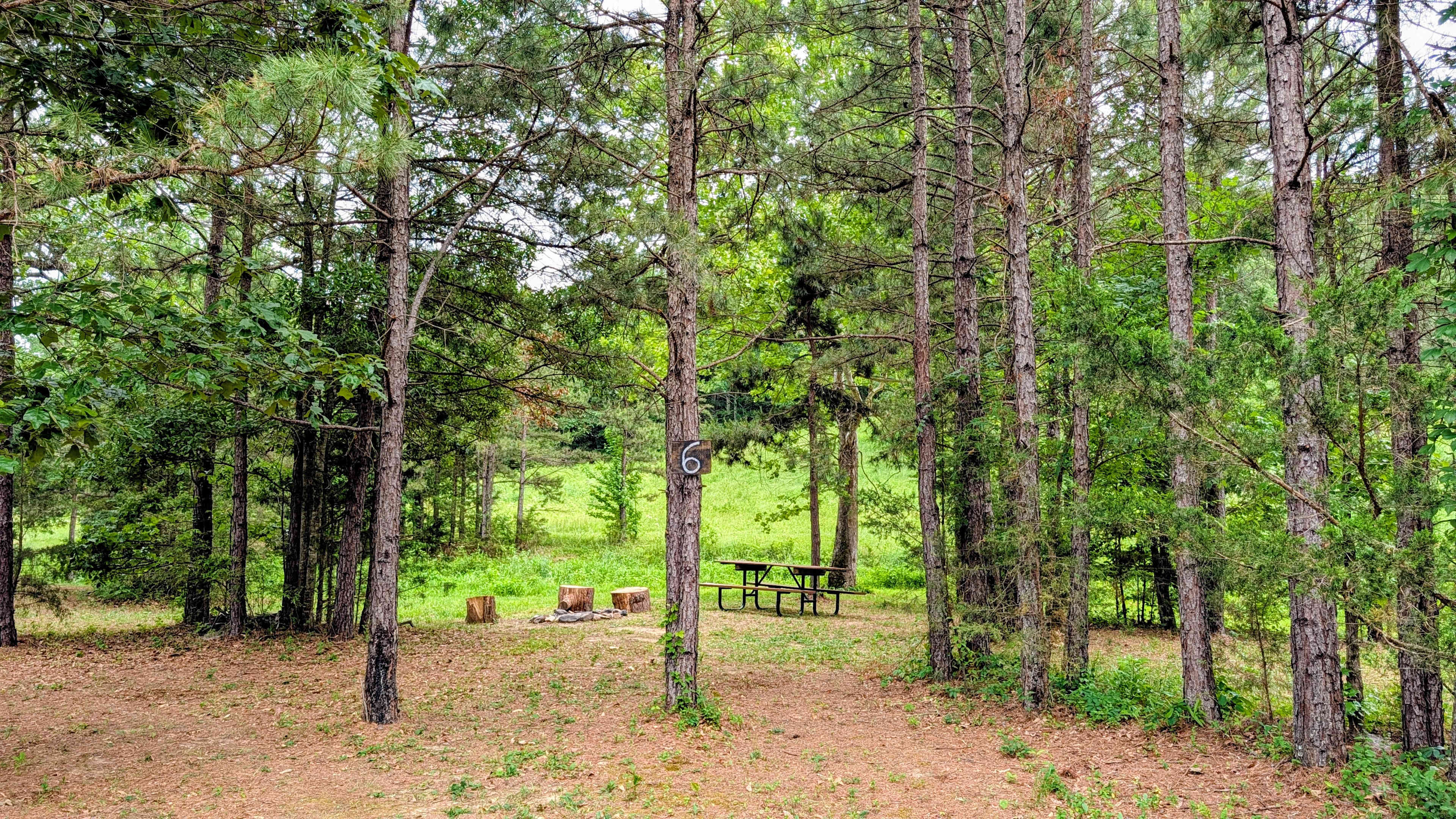 Picture of the site