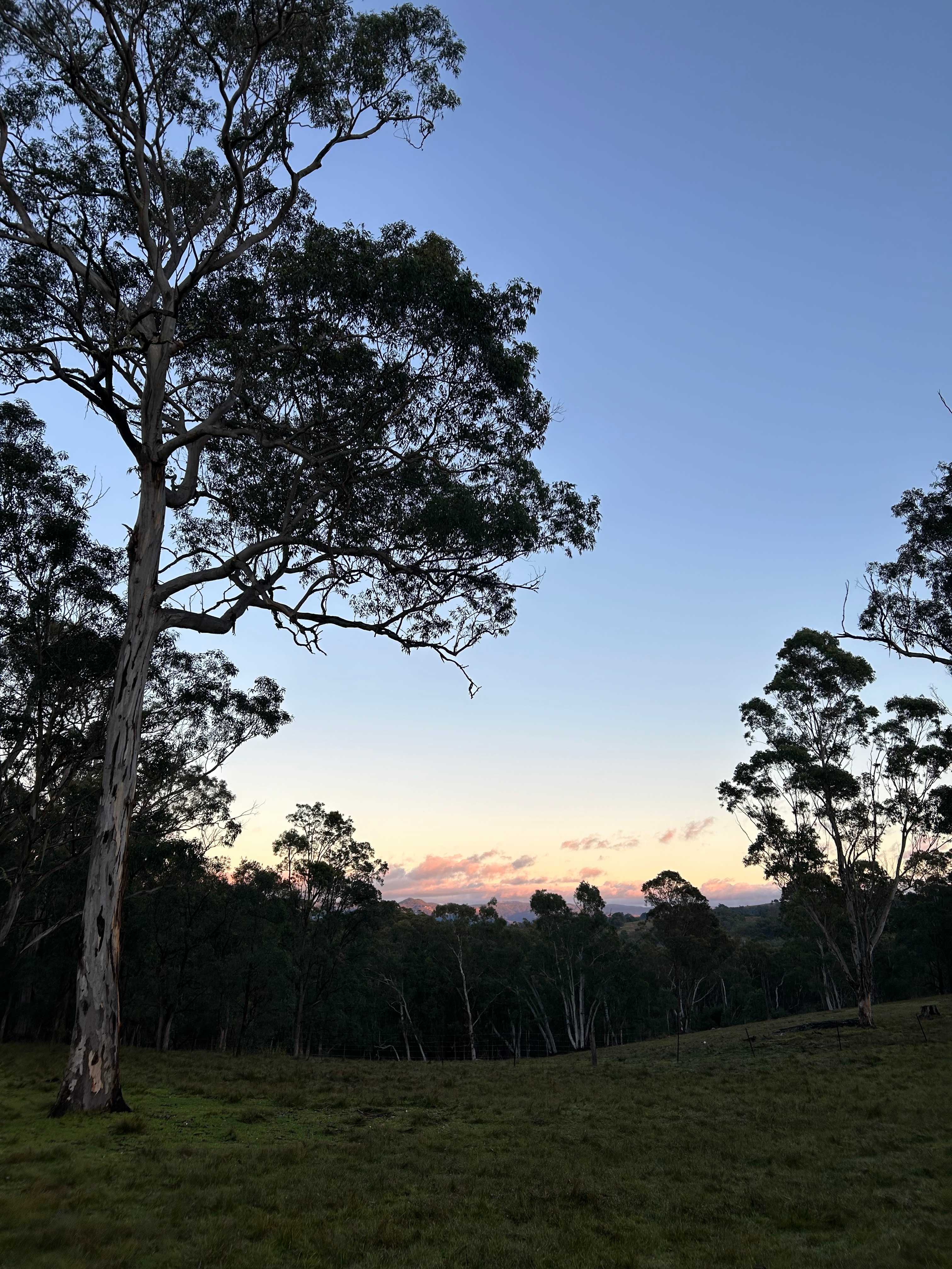 Megalong Valley Farm