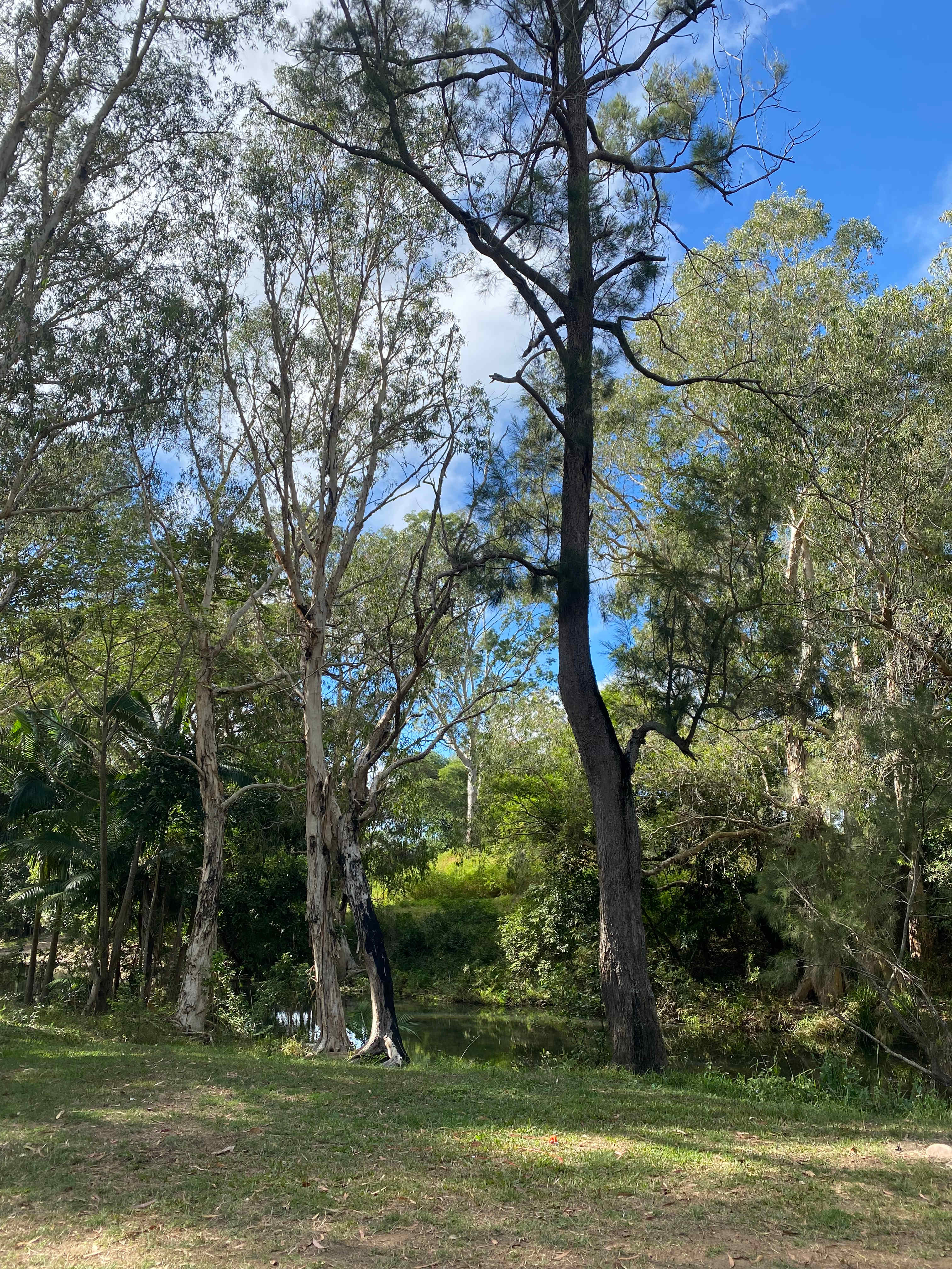 Ilbilbie Station Farm Stay