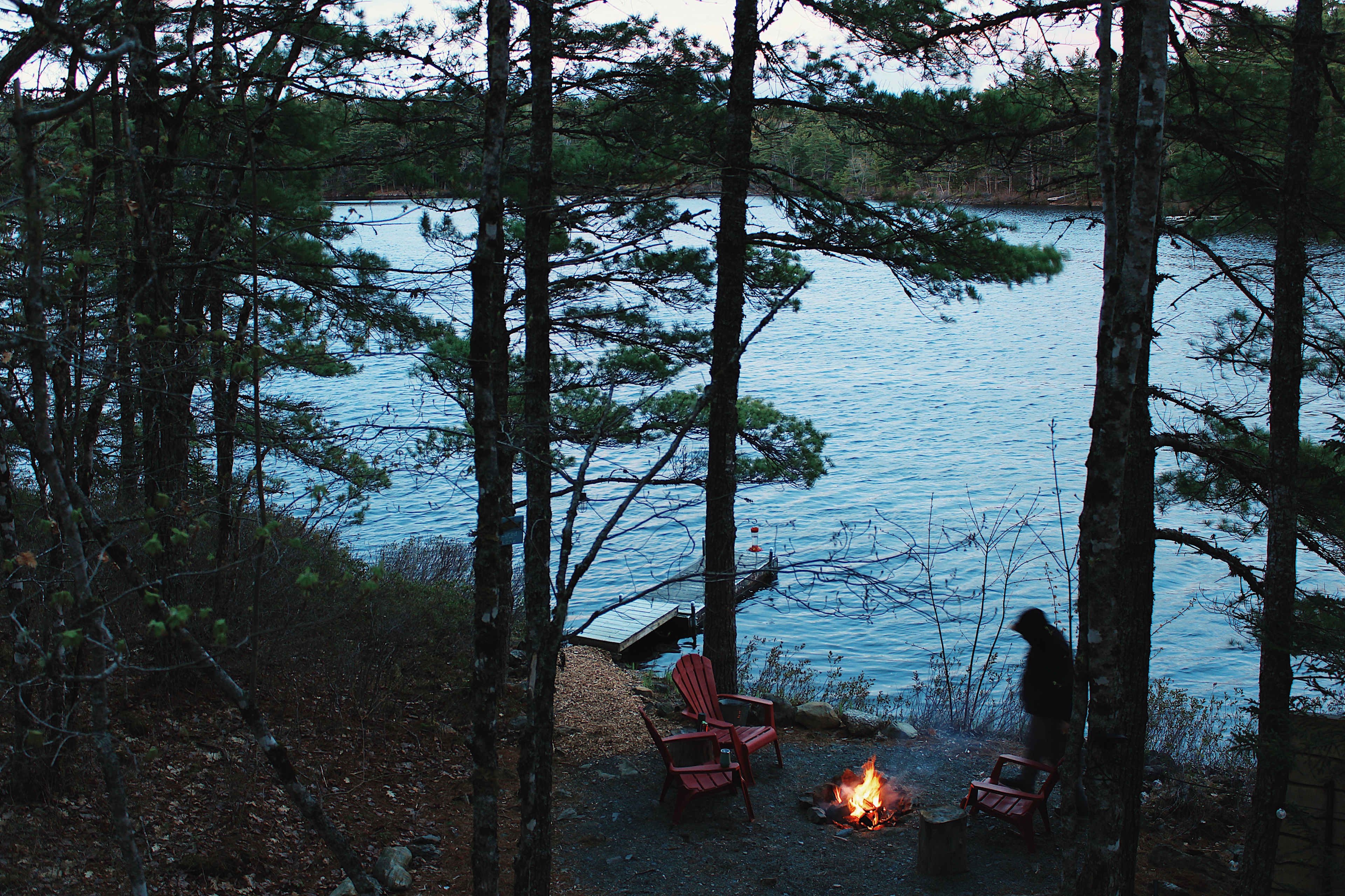 Owl's Hollow Eco-Therapy Glamping