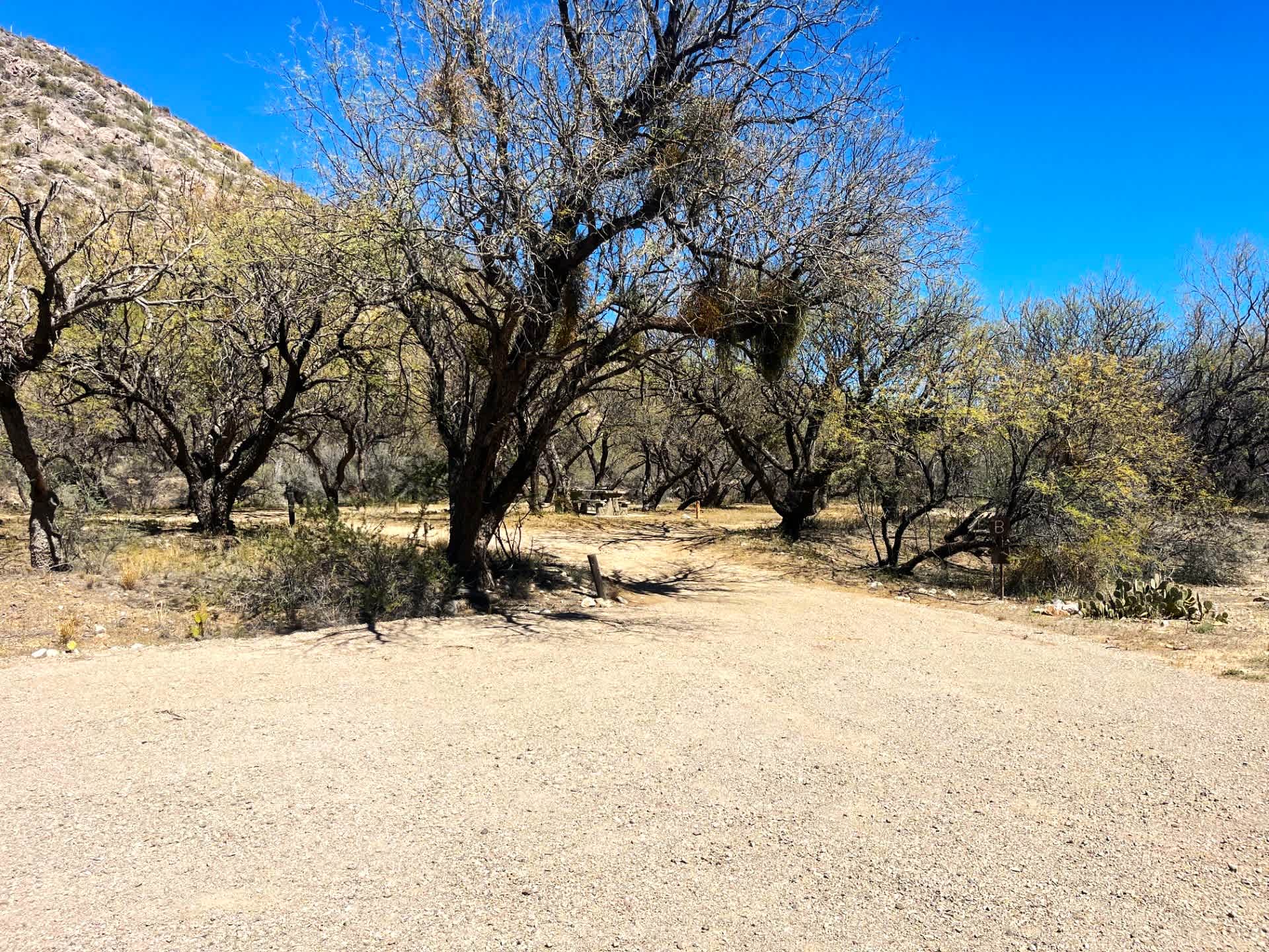 Picture of the site