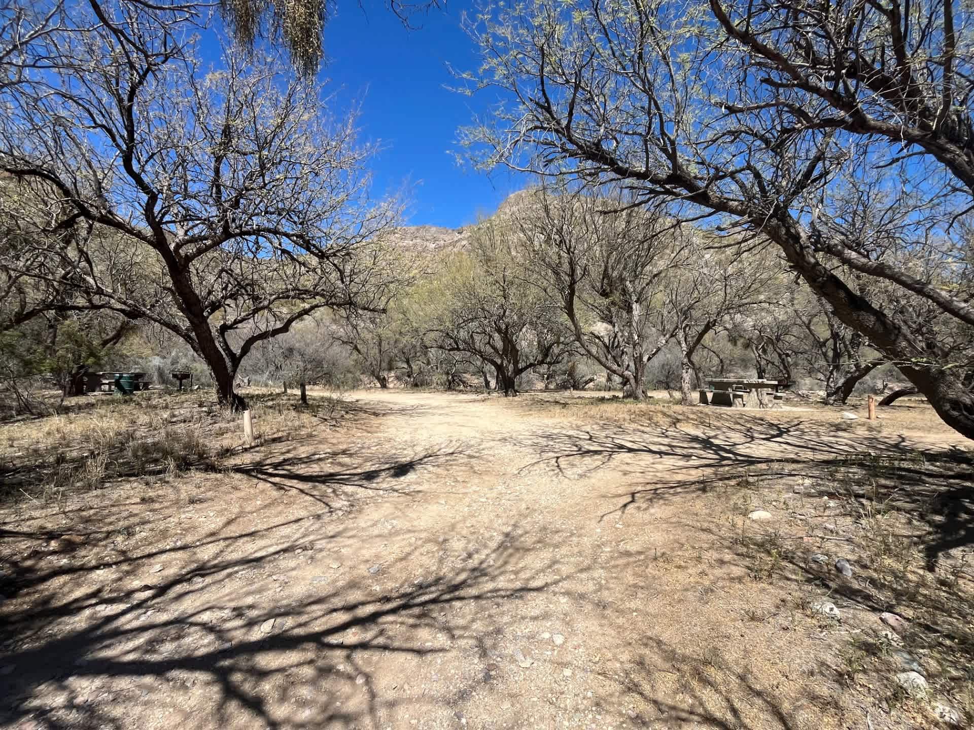 Picture of the site