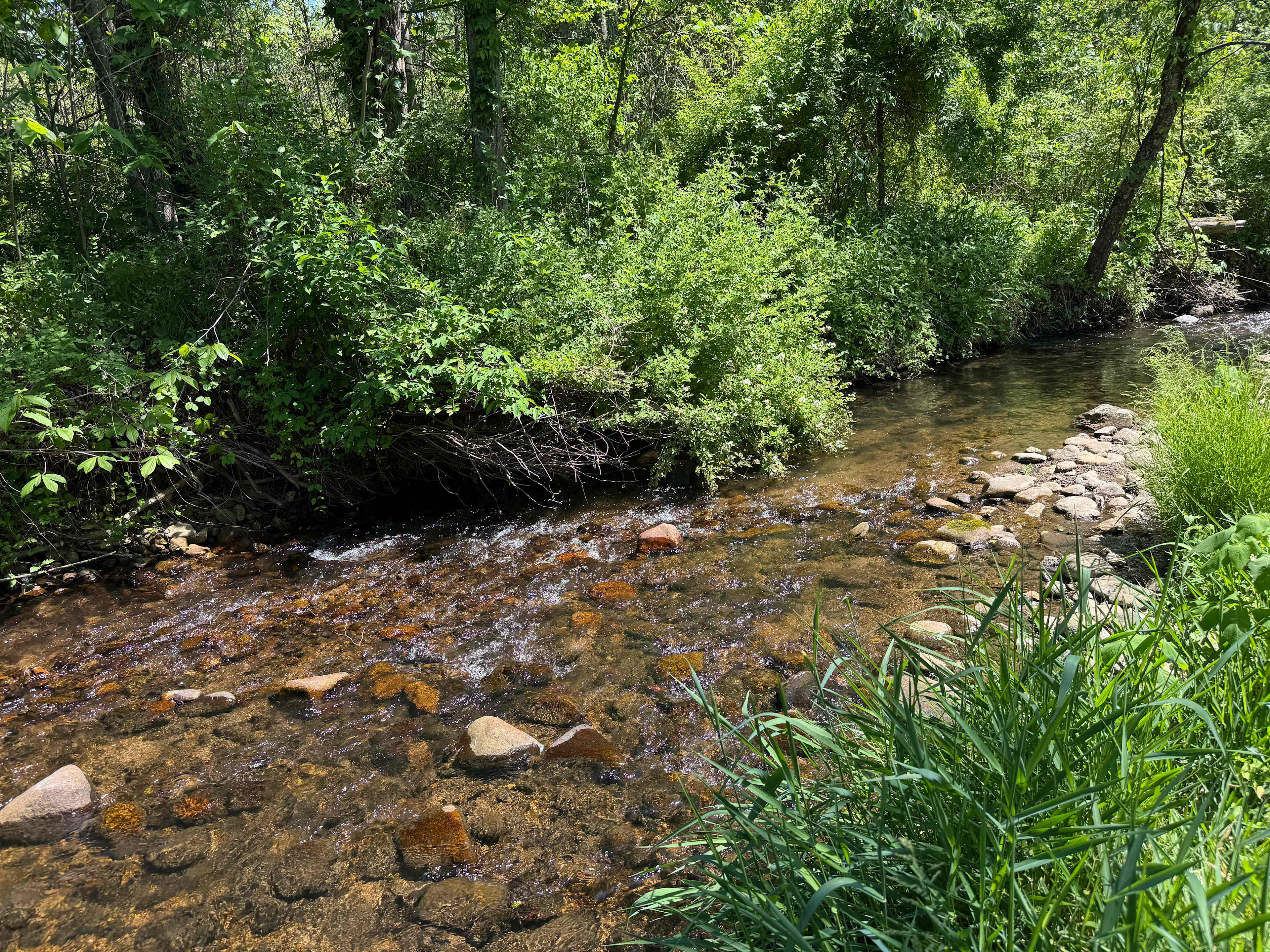 Stoney Creek Campground