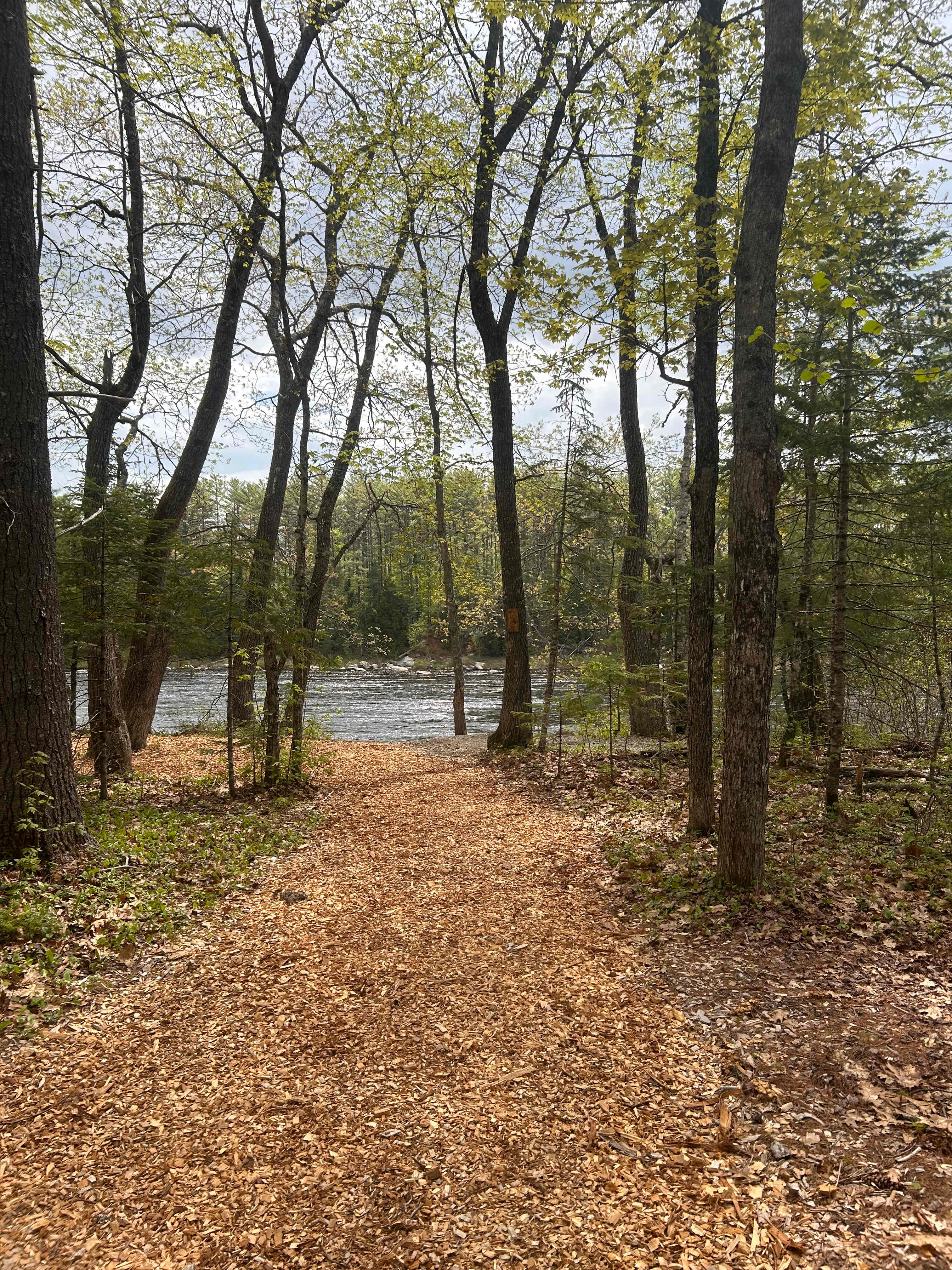 Piscataquis Point