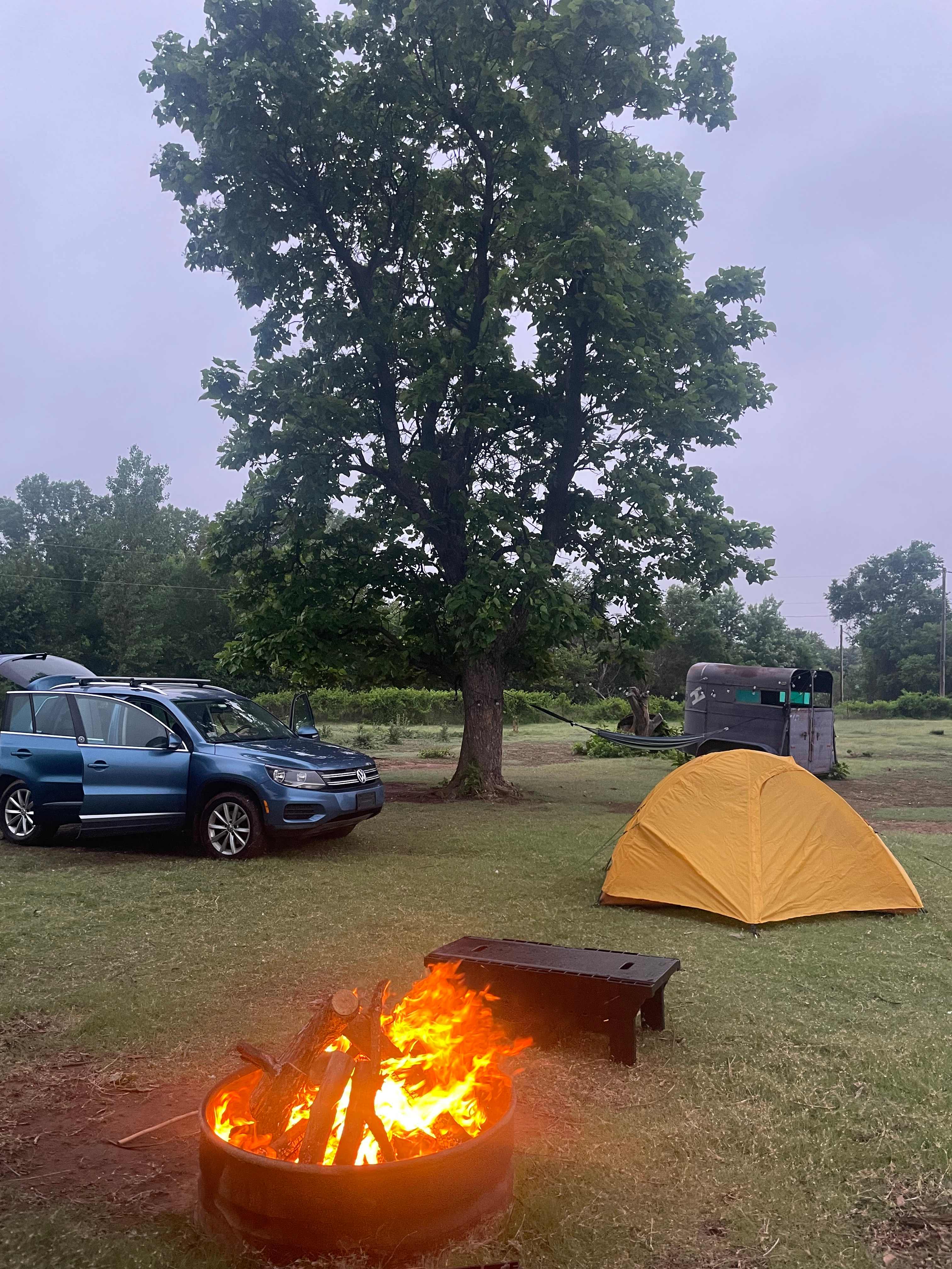 alpaca camping