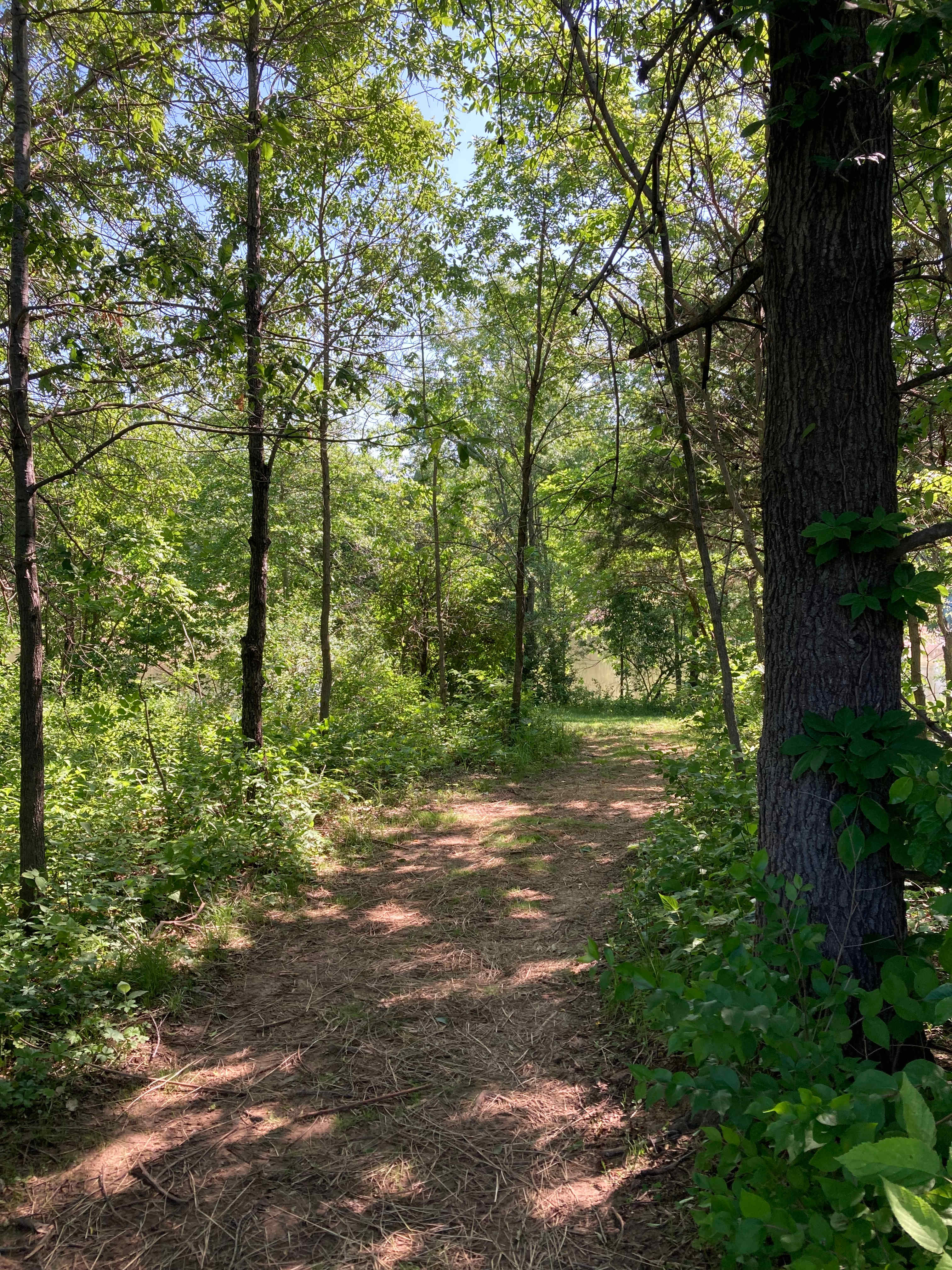 Bear Creek Farm and Ranch