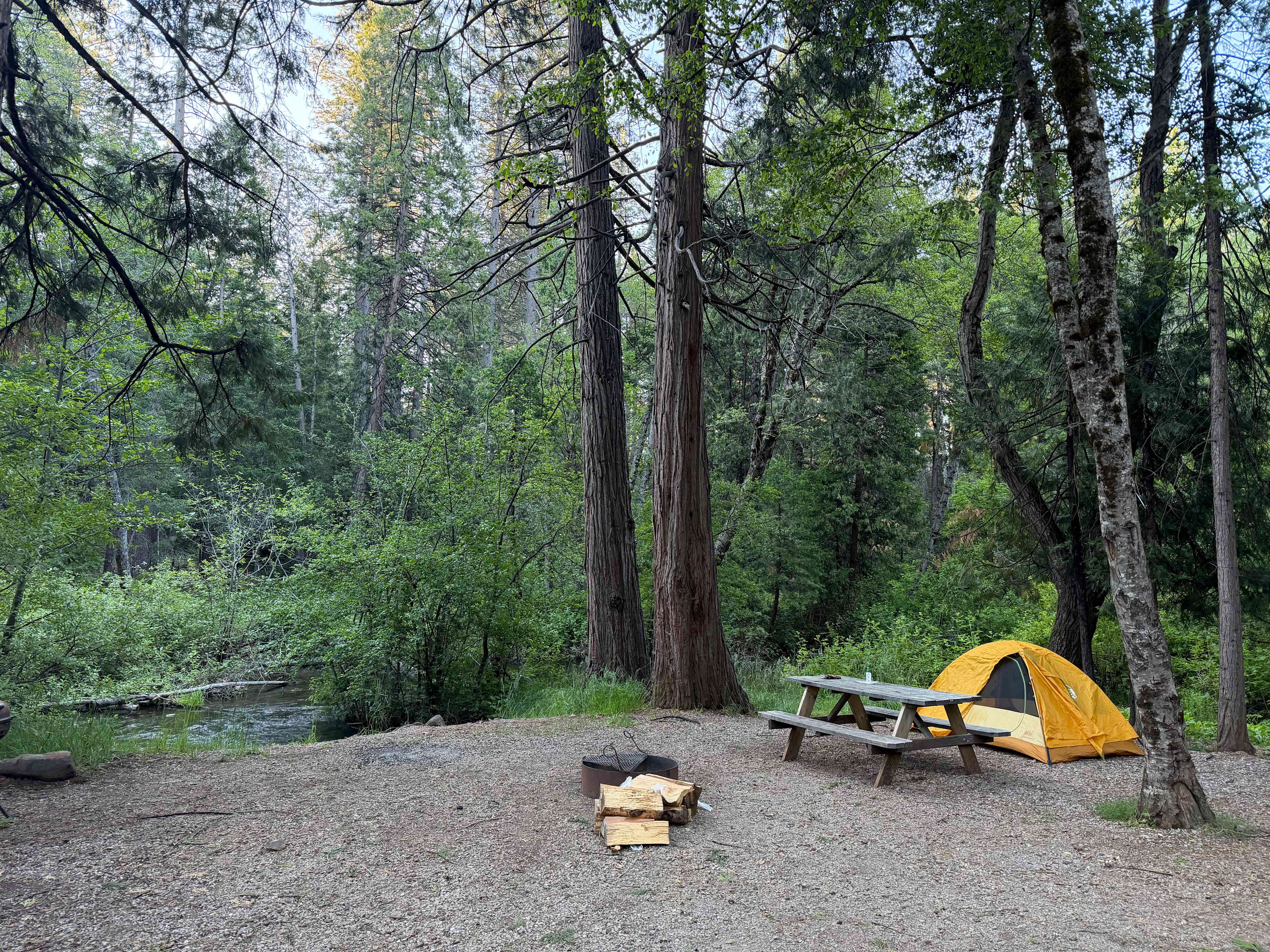 Bigfoot Lodging