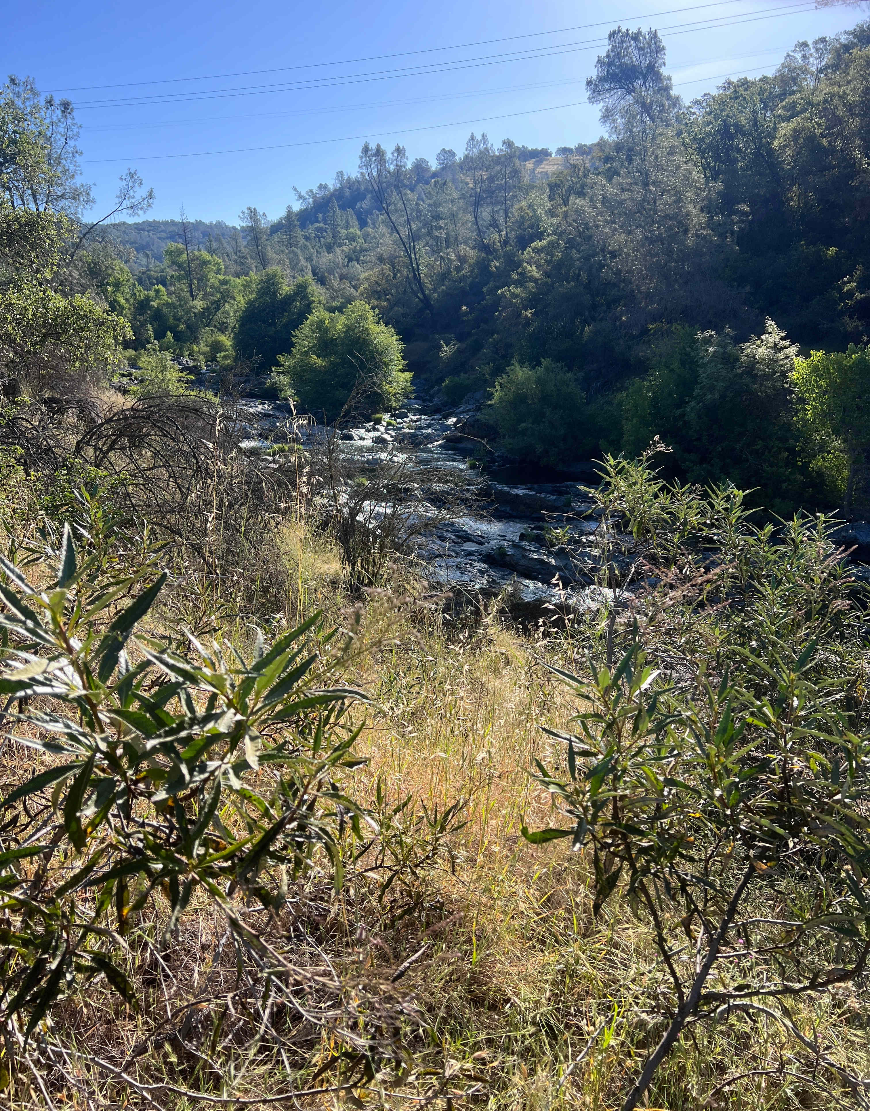 Perfect Getaway with Private Creeks
