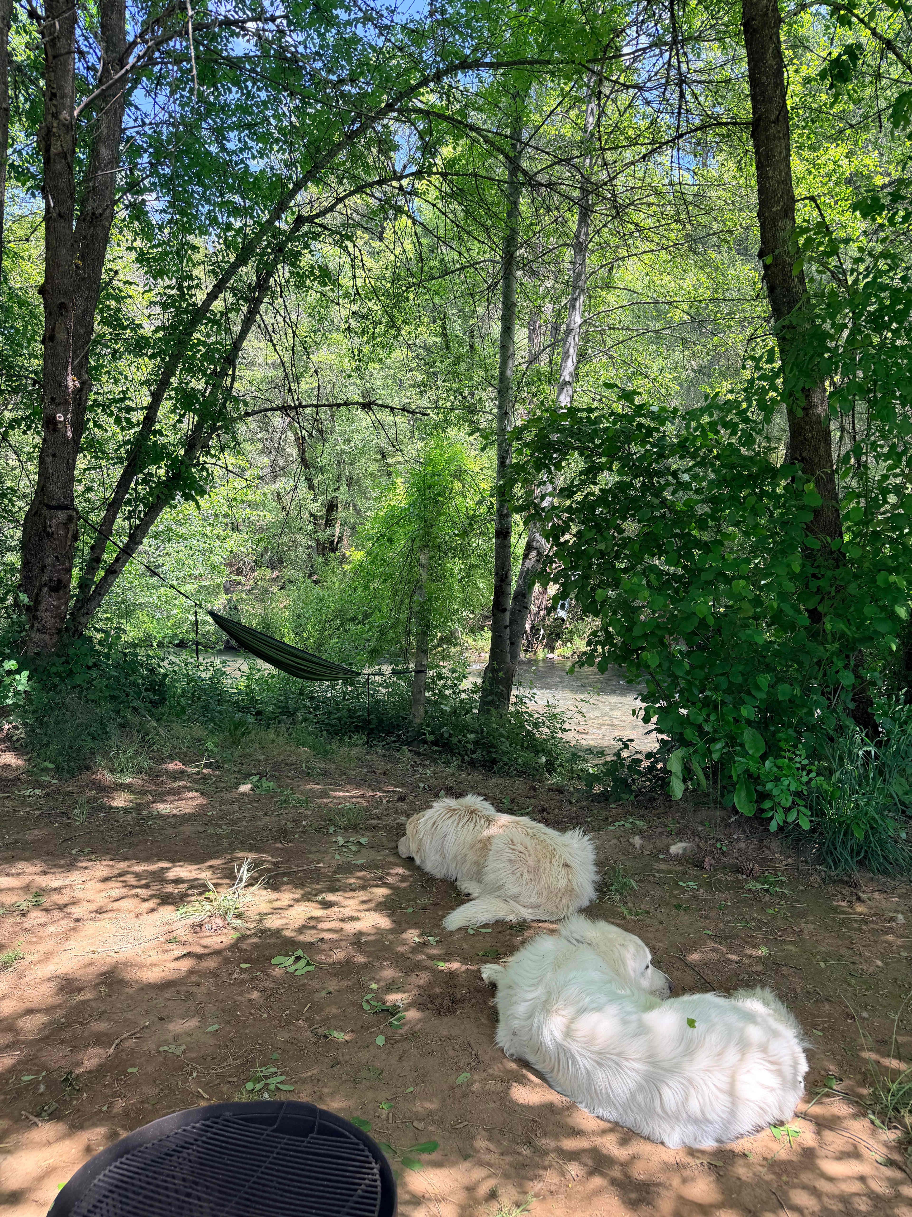 Camp Stoney Meadows
