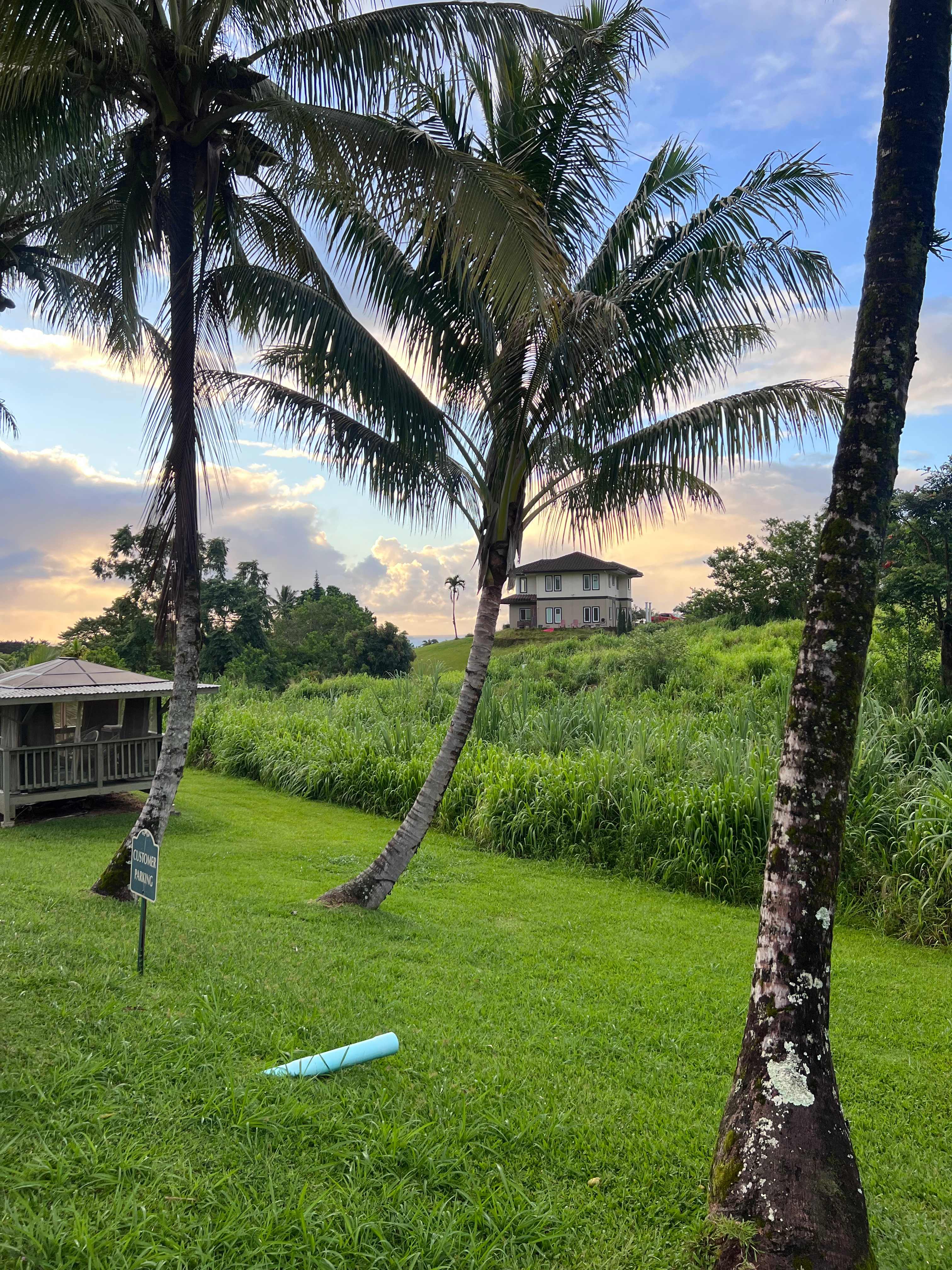 Hamakua Guesthouse