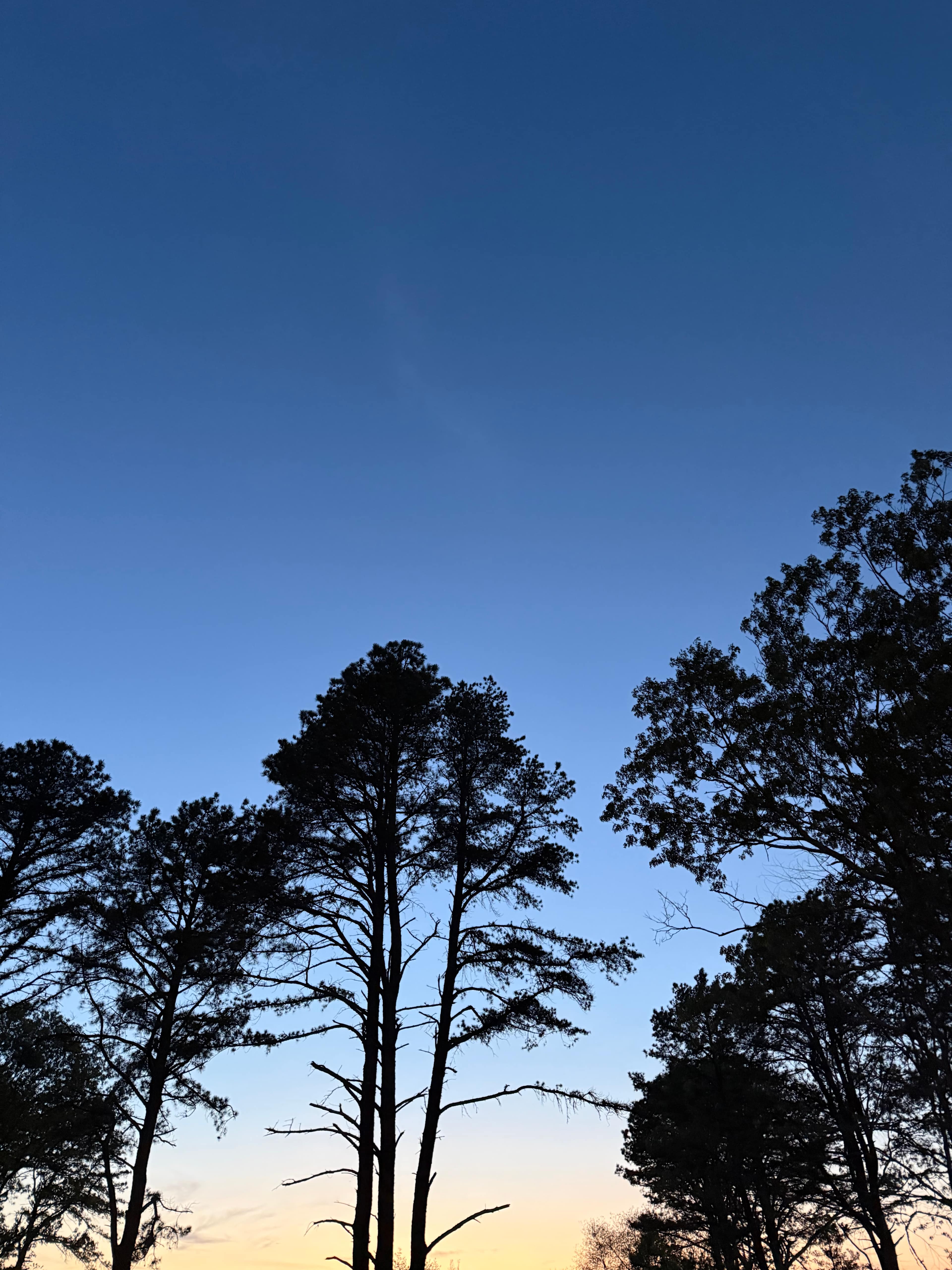 Peconic River Campgrounds