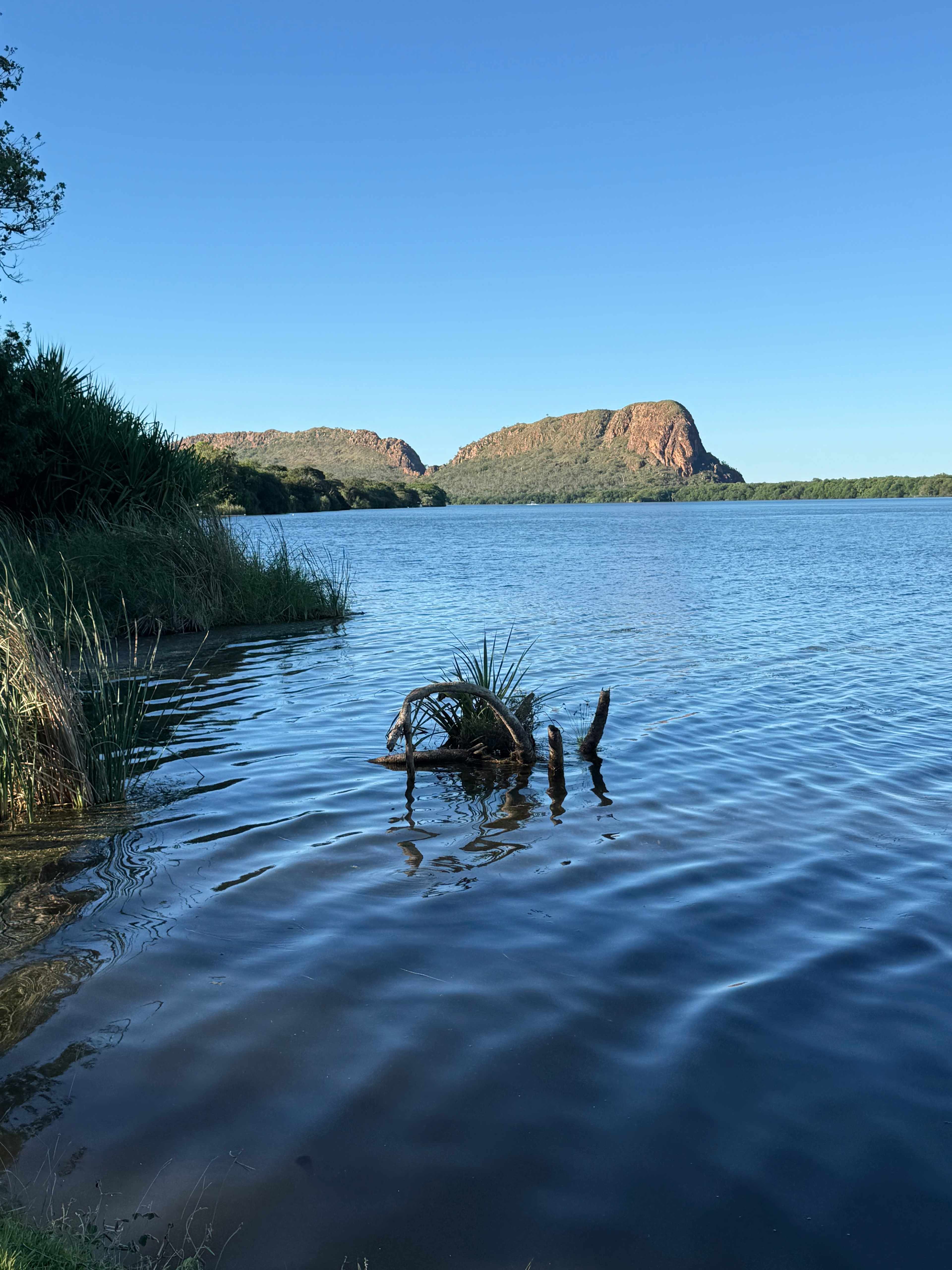 Riverfront Retreat Camping & Cabins
