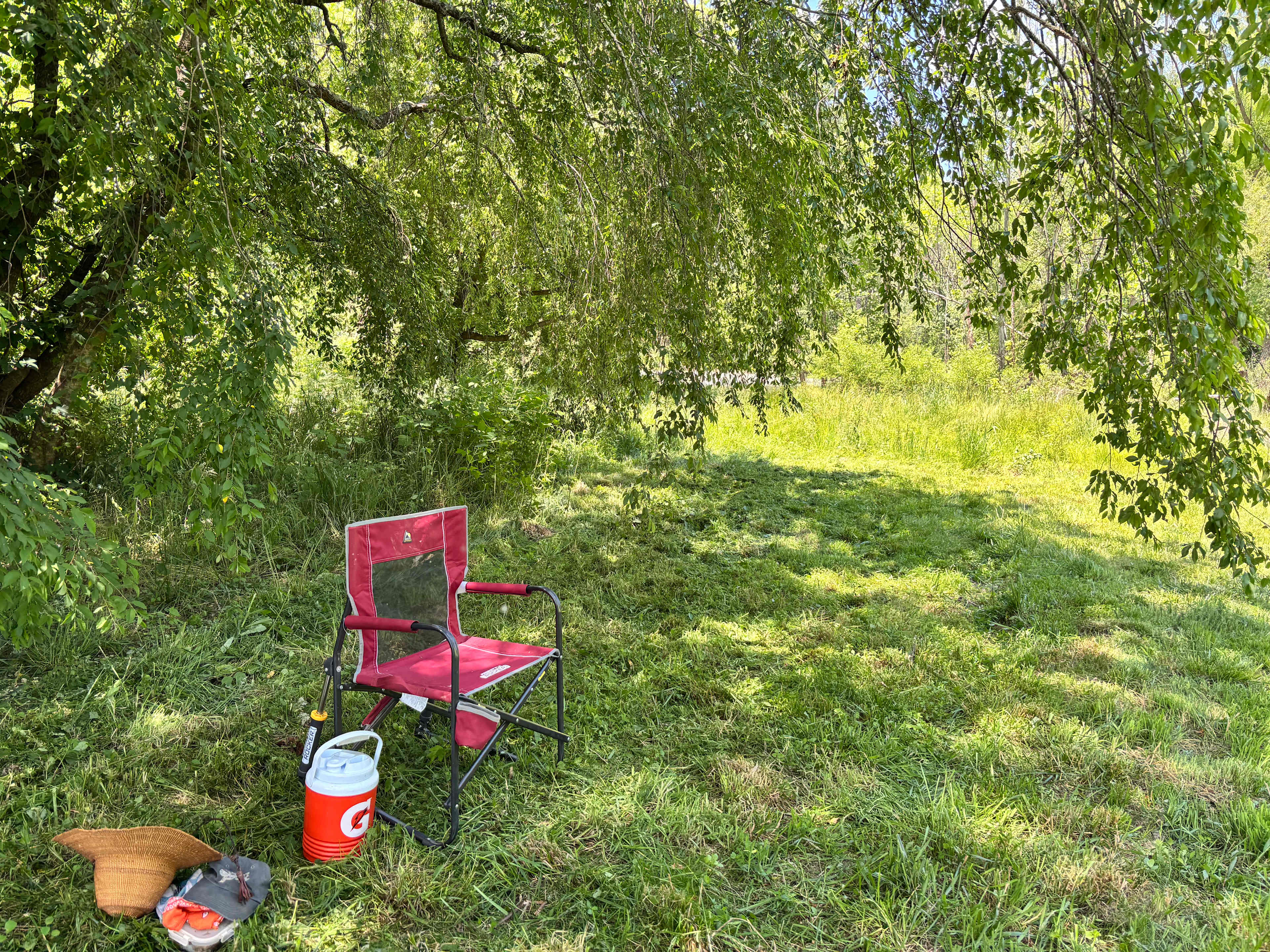 Picture of the site