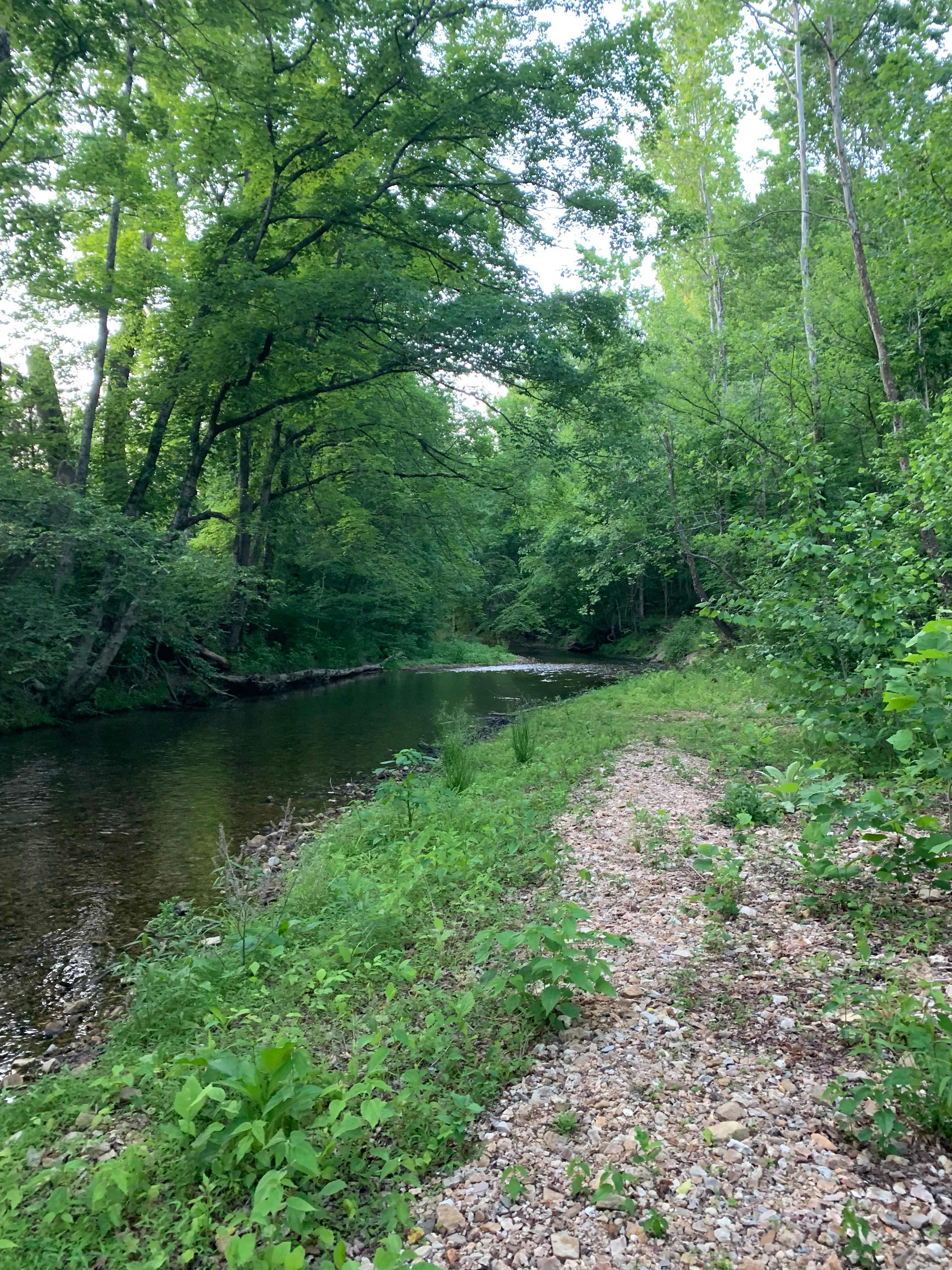 Creek side 