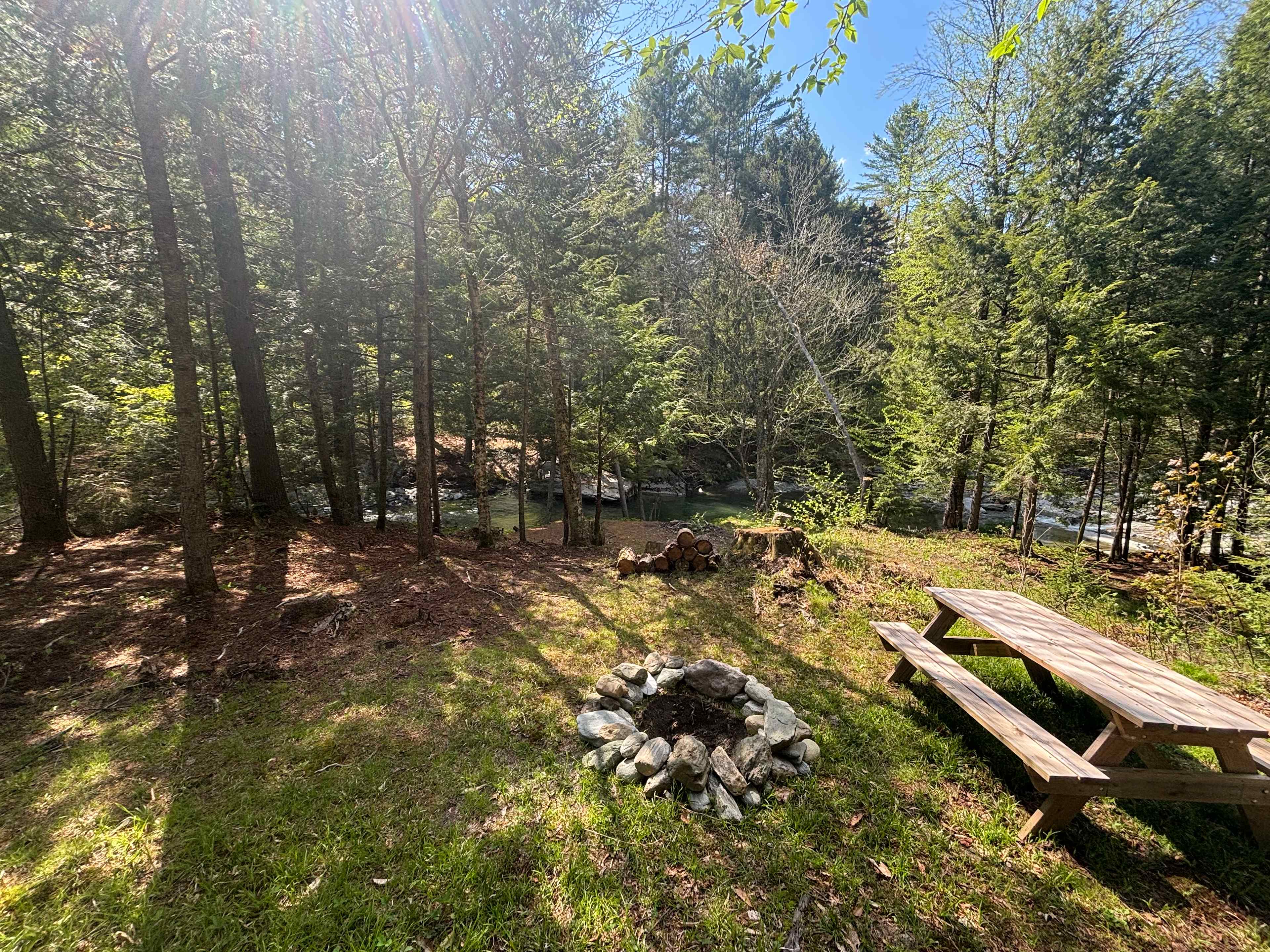 Picture of the site