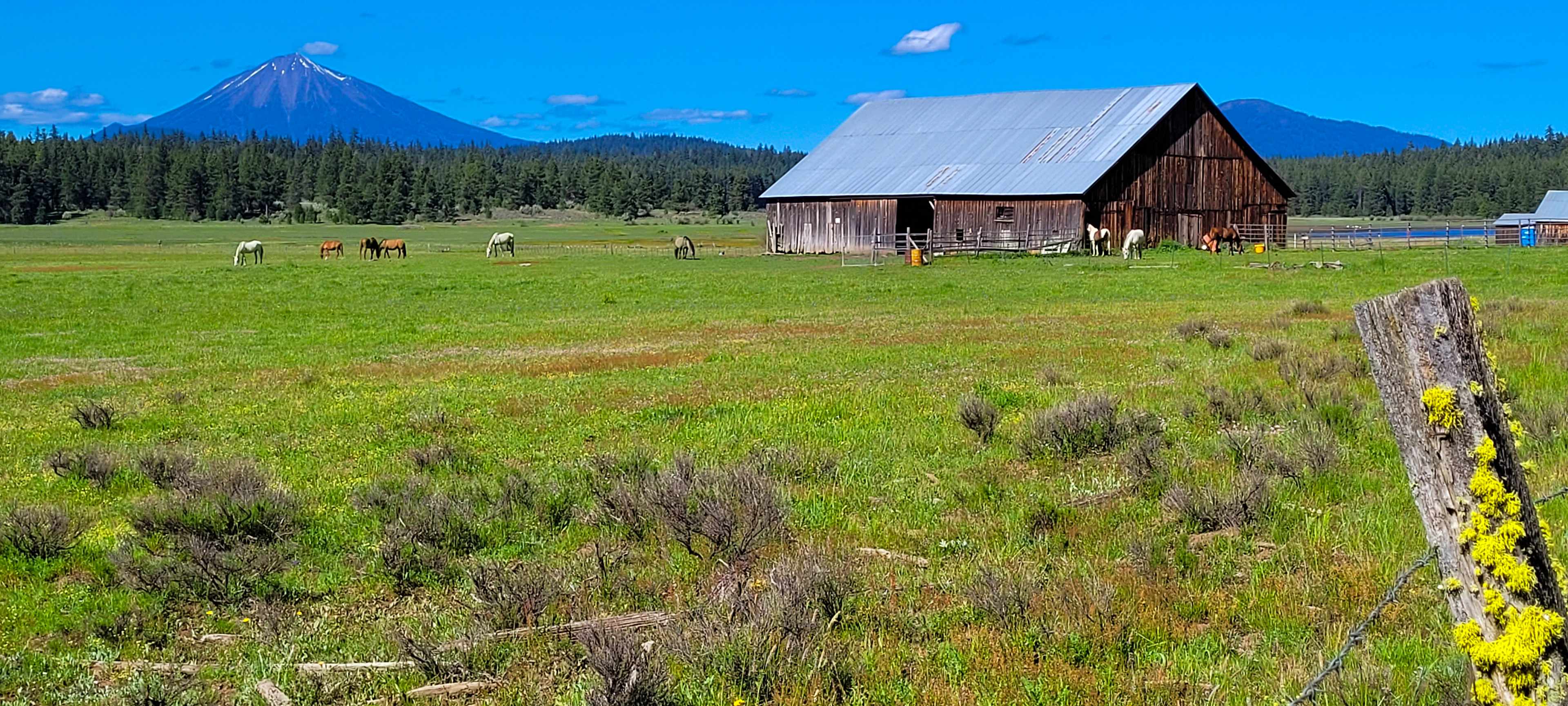 Willowdale Ranch