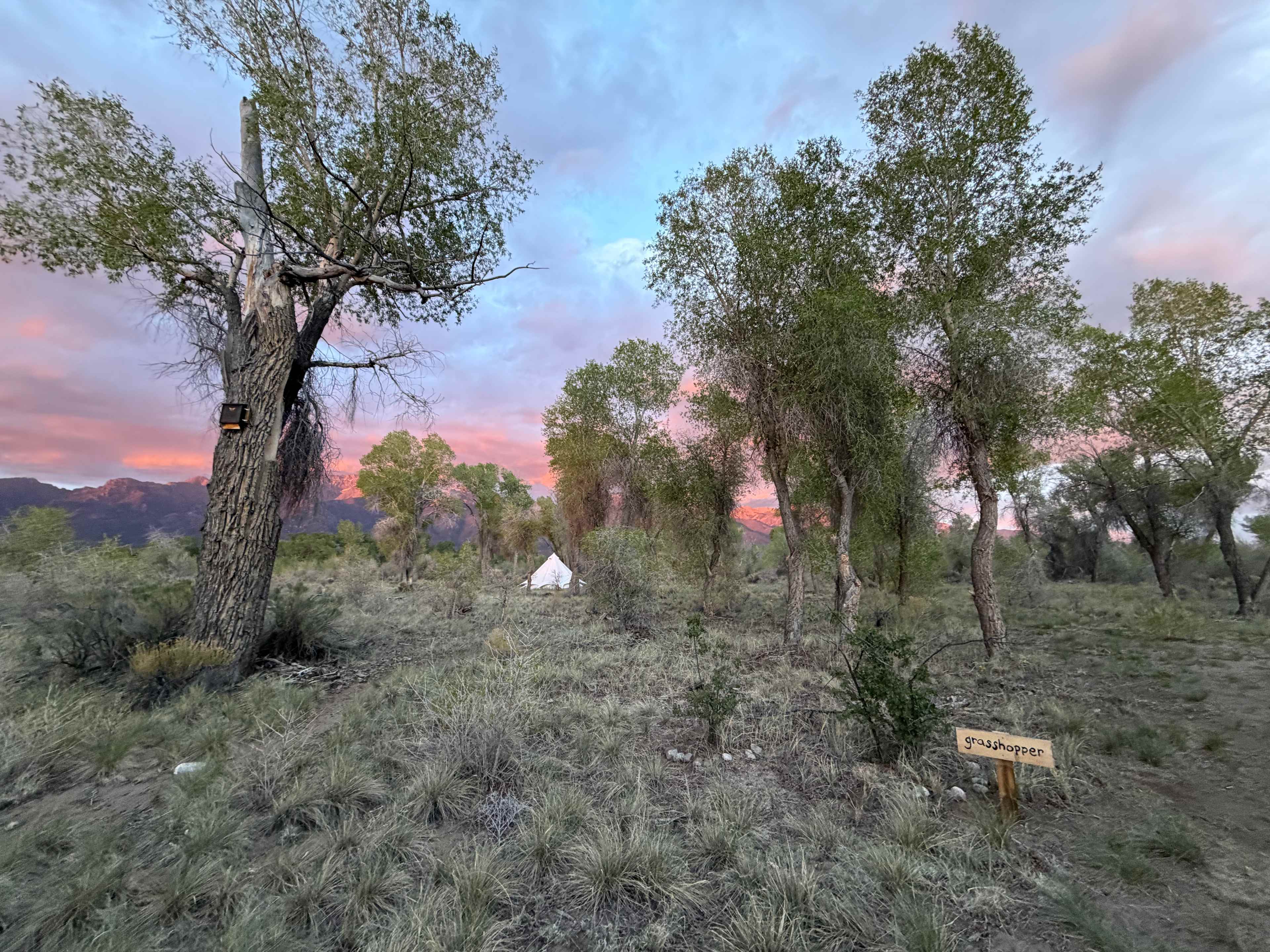 The white tent was occupied, but it still felt mostly private at our site.