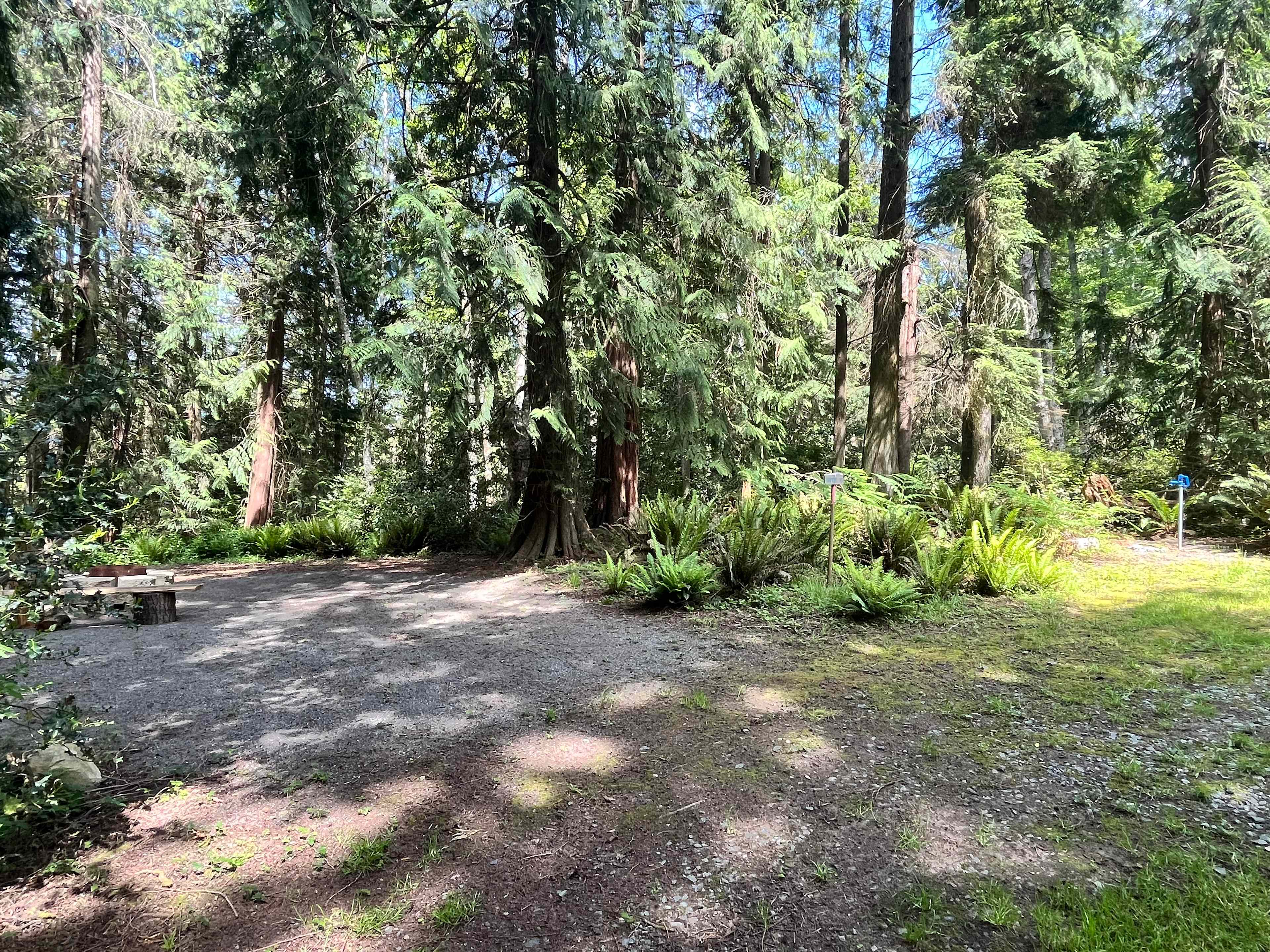 The Last Of The Wonder Woods