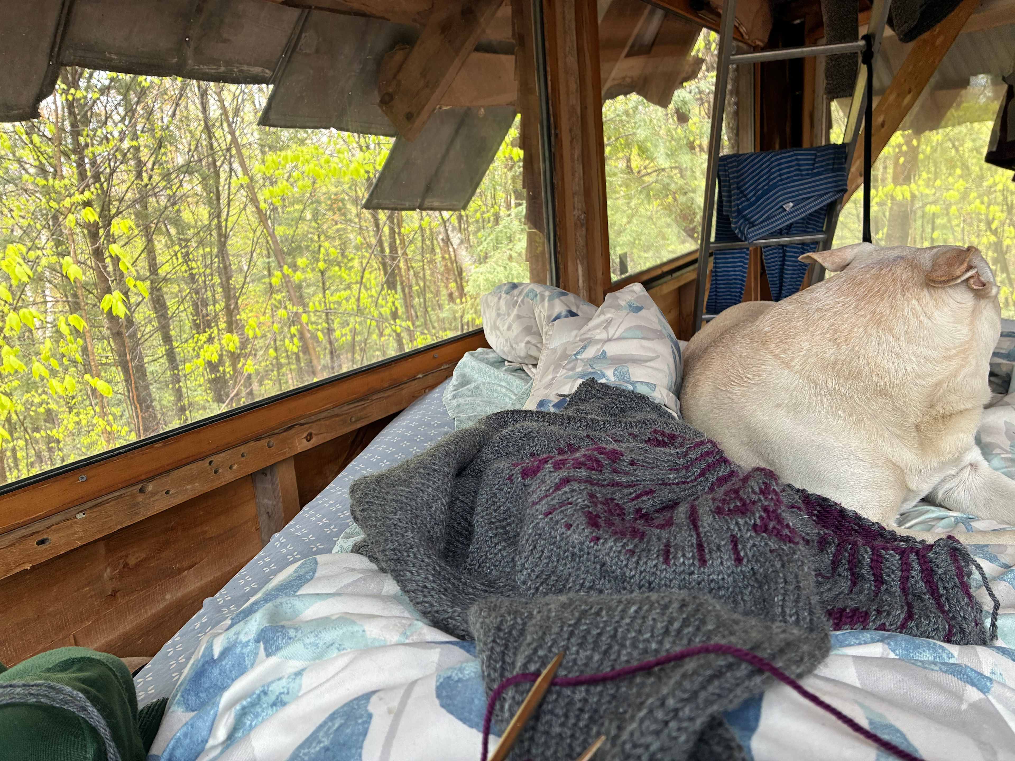 Streeter Mountain Farm