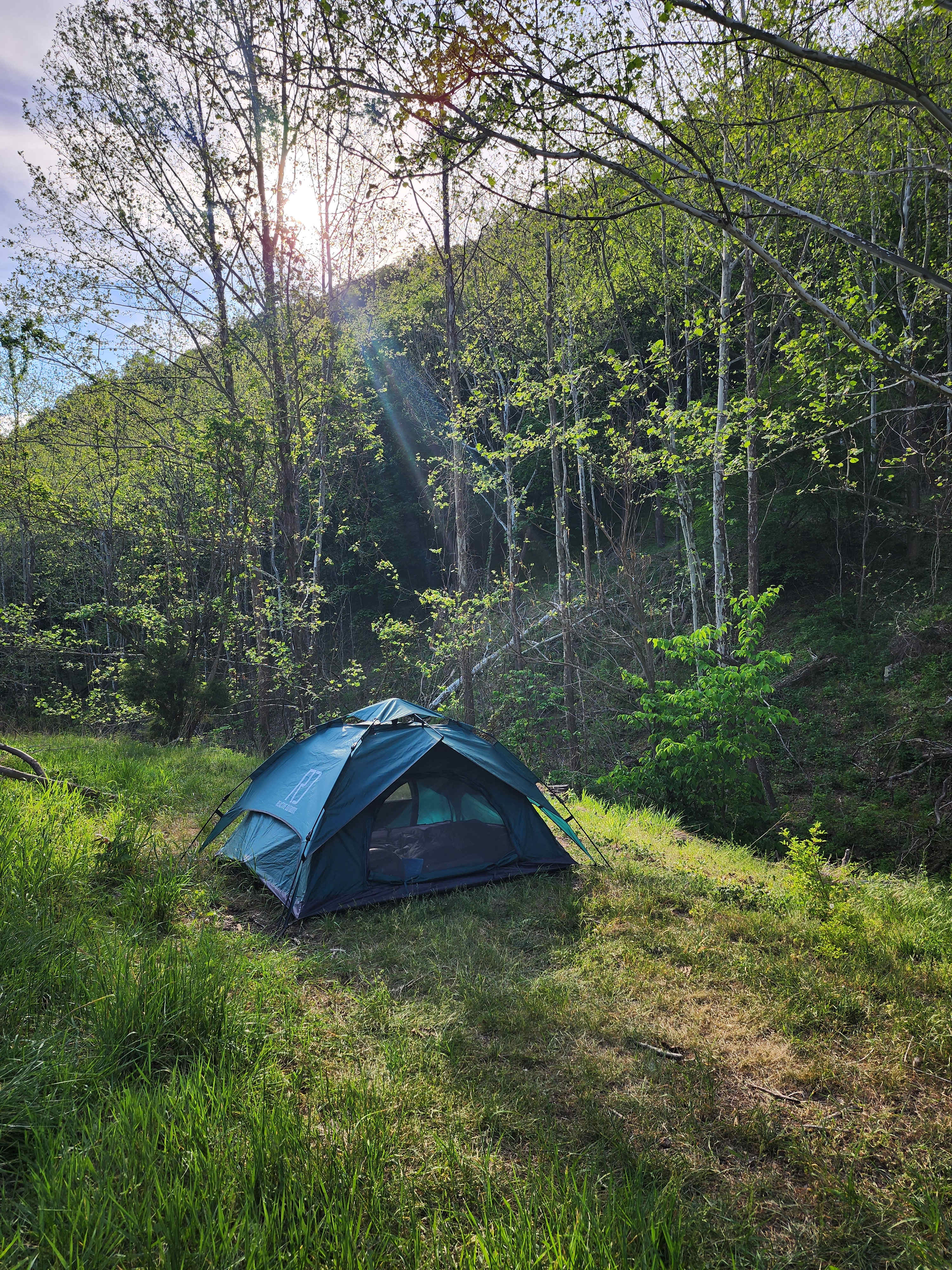 Fourth Moon Camp
