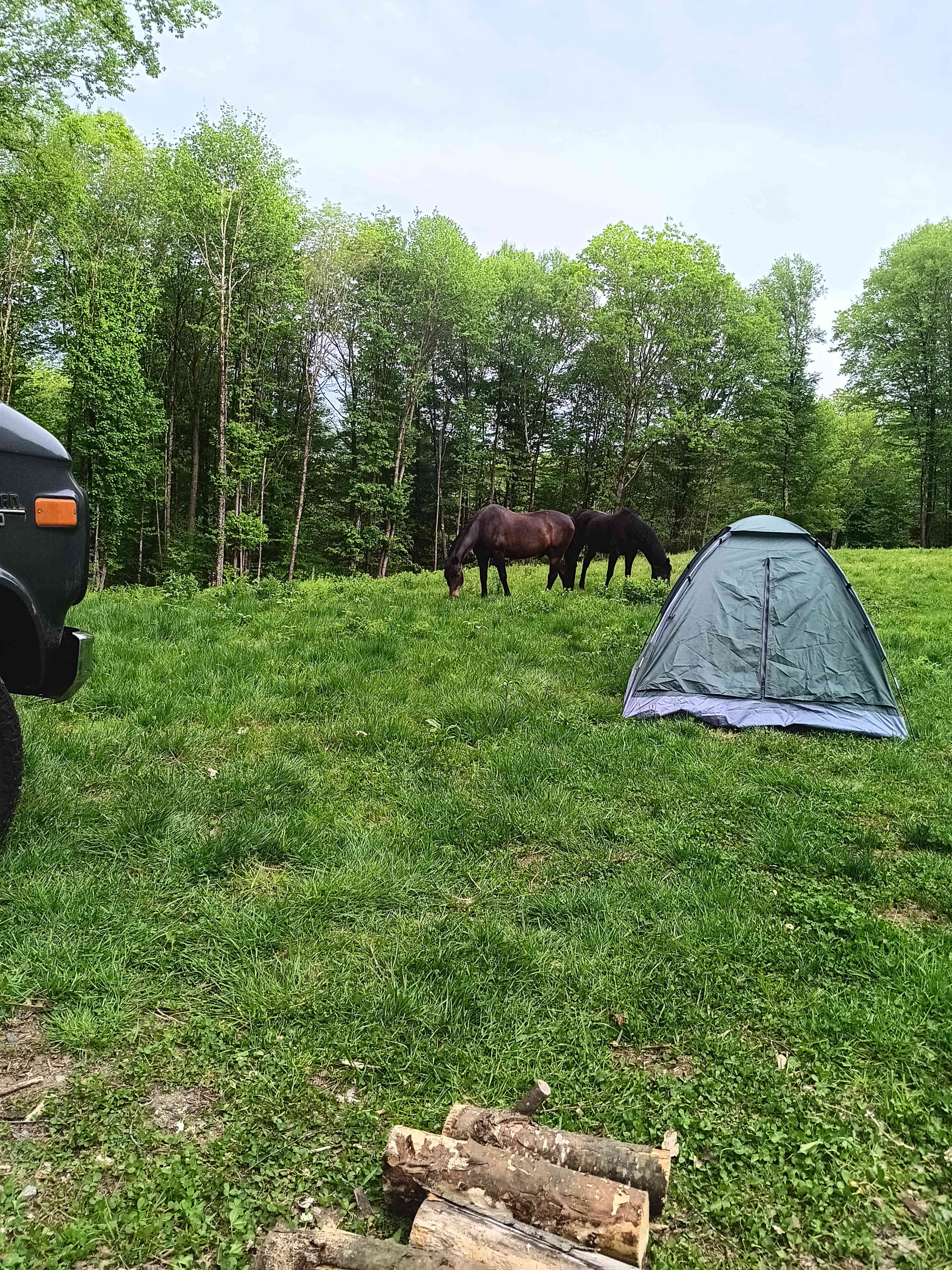 Penti Haven Farm & Horse Retreat