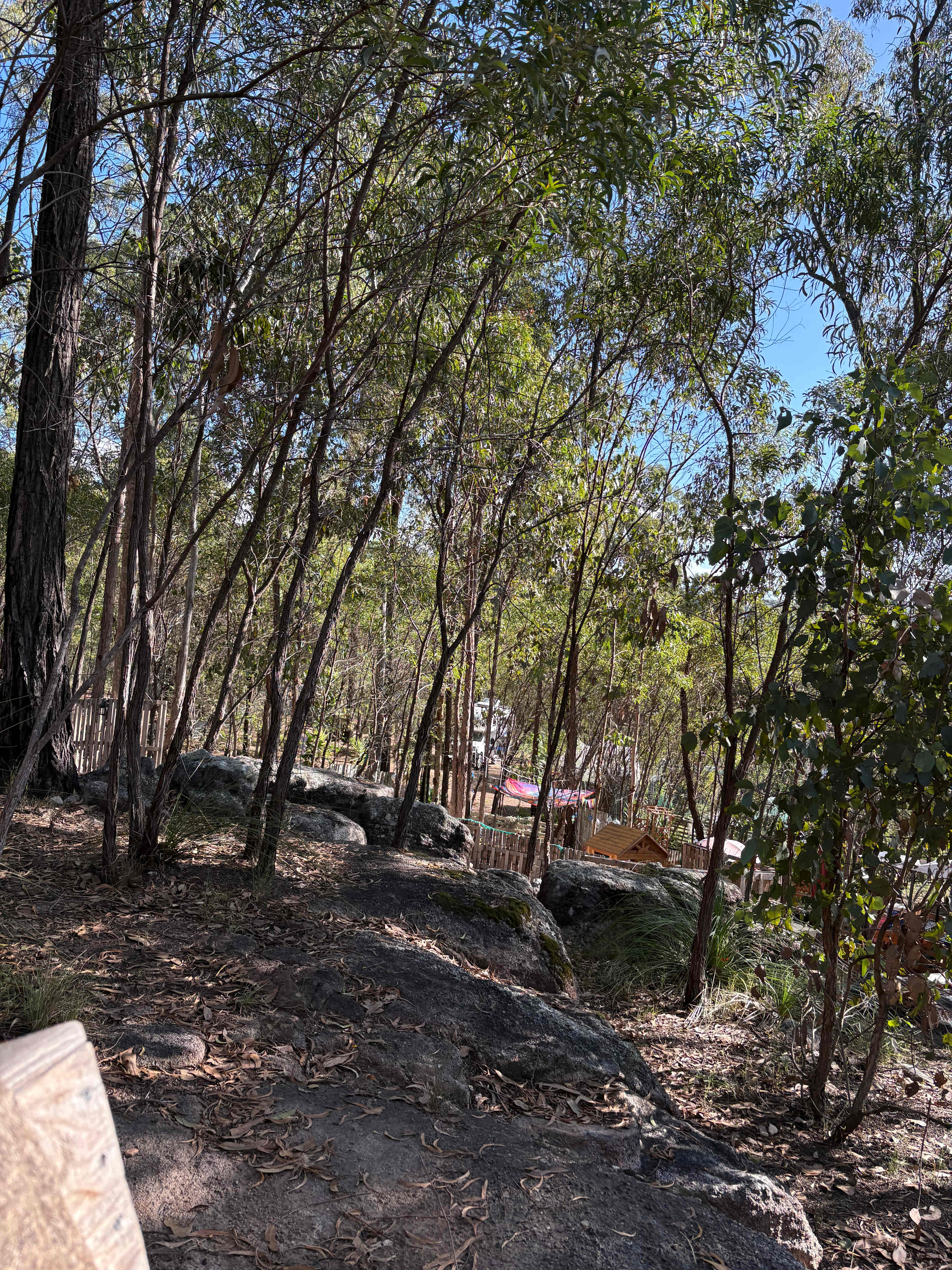 Mystic Adventures Greenbank