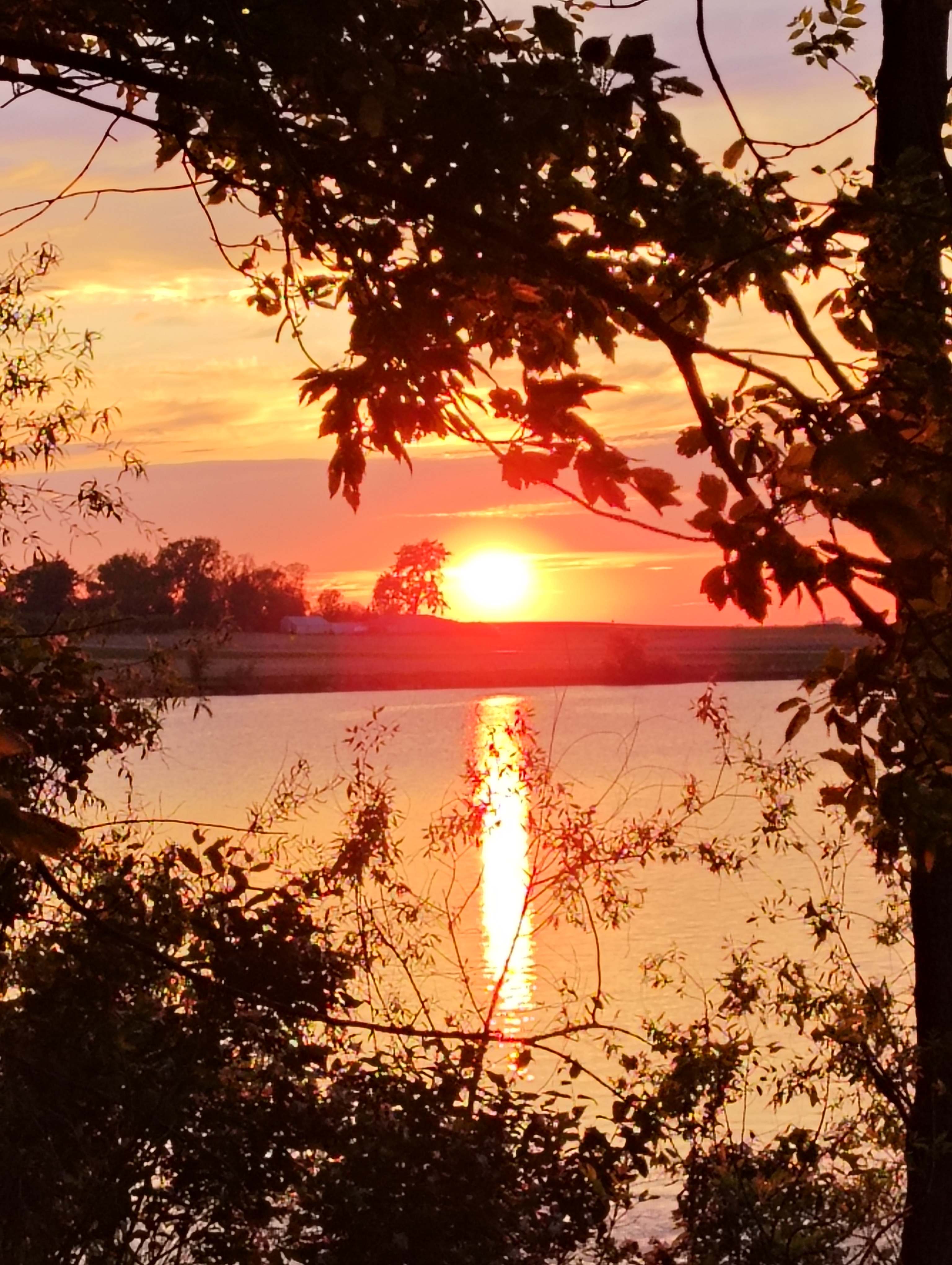 Taken from the hammock