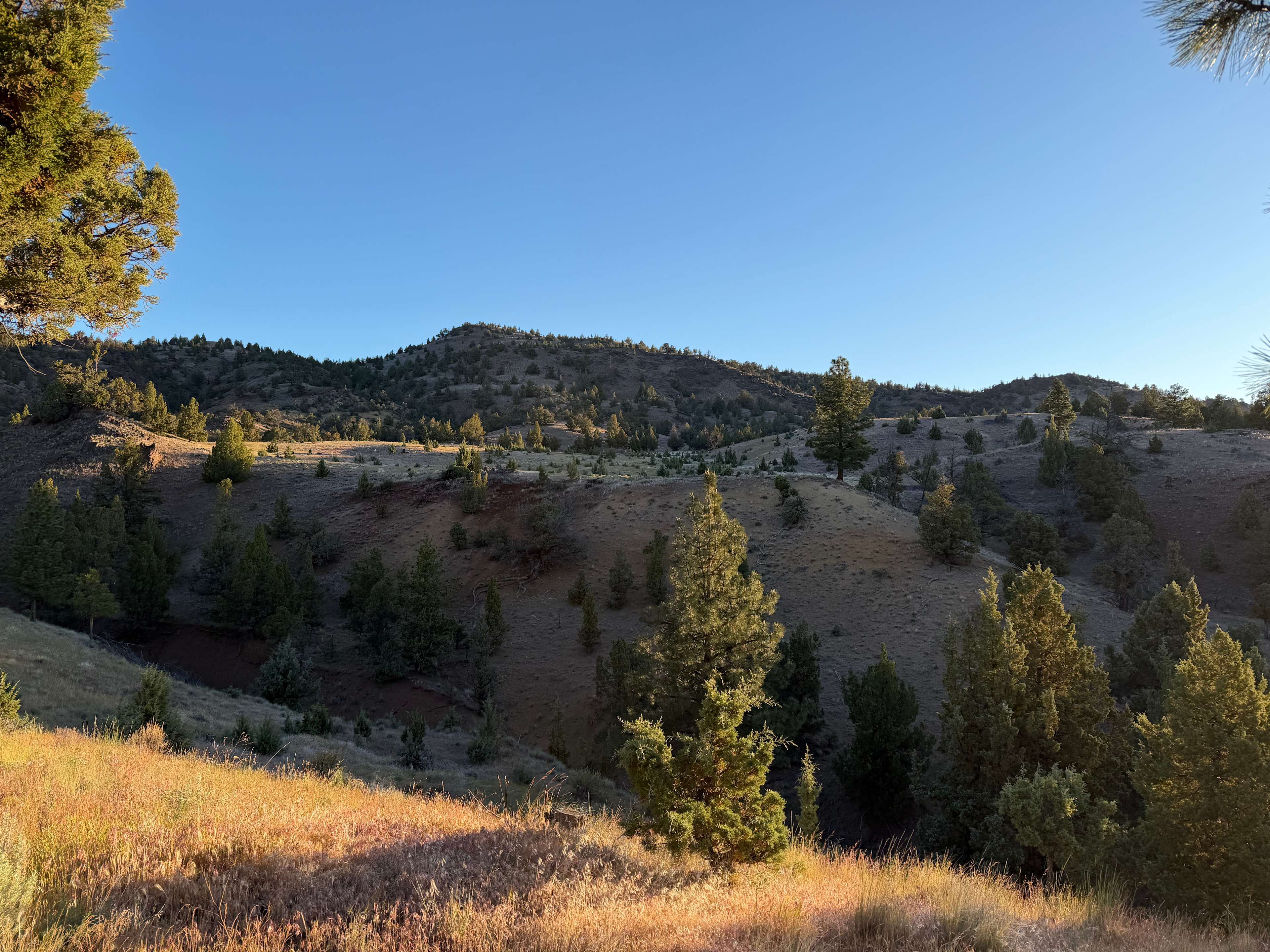 Looking west from the campsite