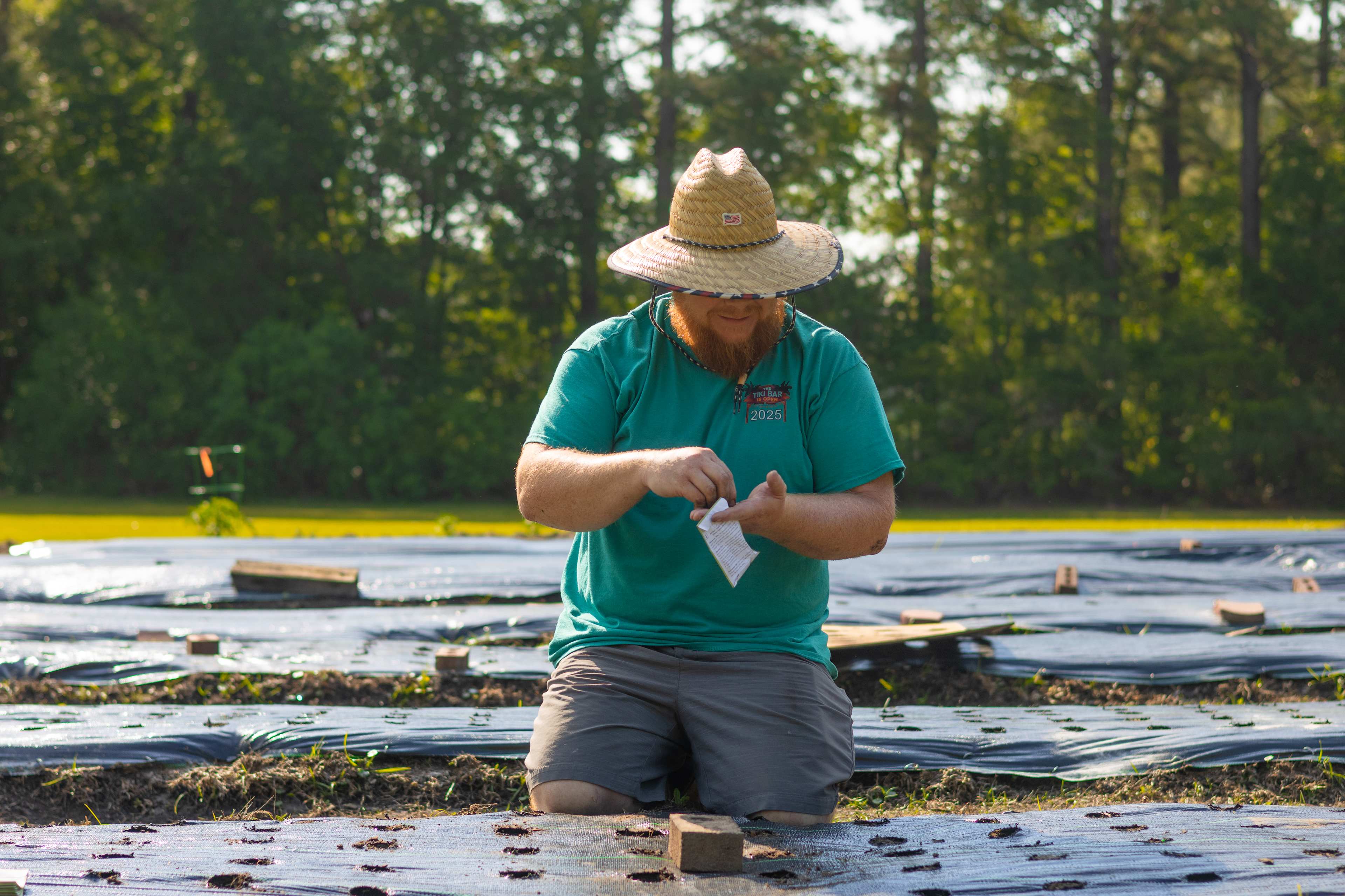 Patrick planting the soon-to-be UPick flower field