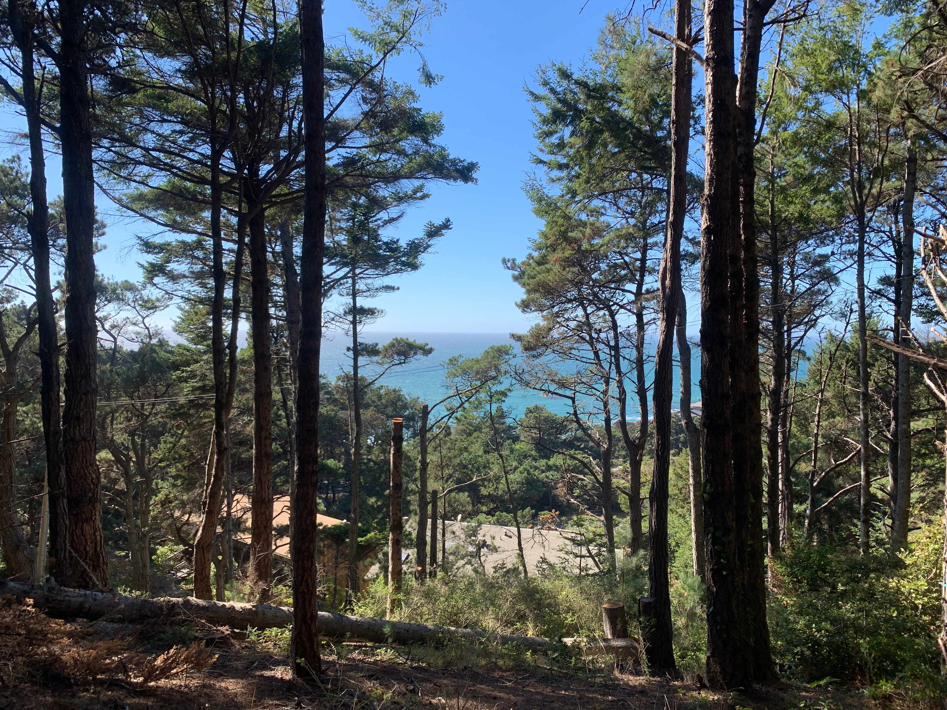Private Ocean View Among the Trees
