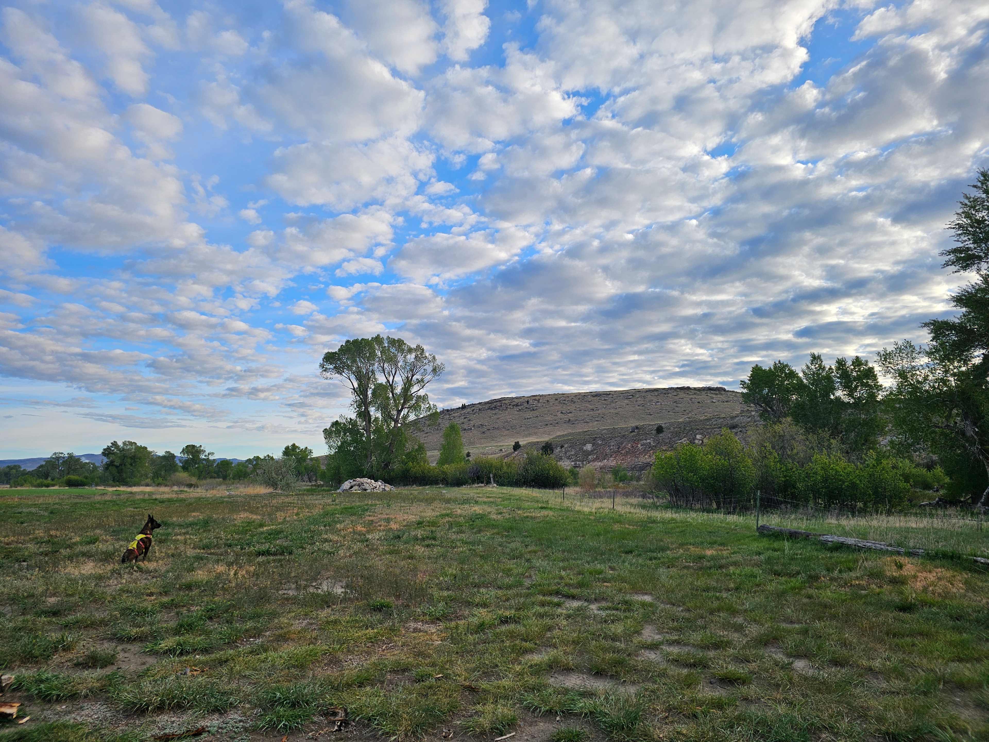Gallatin River Getaway