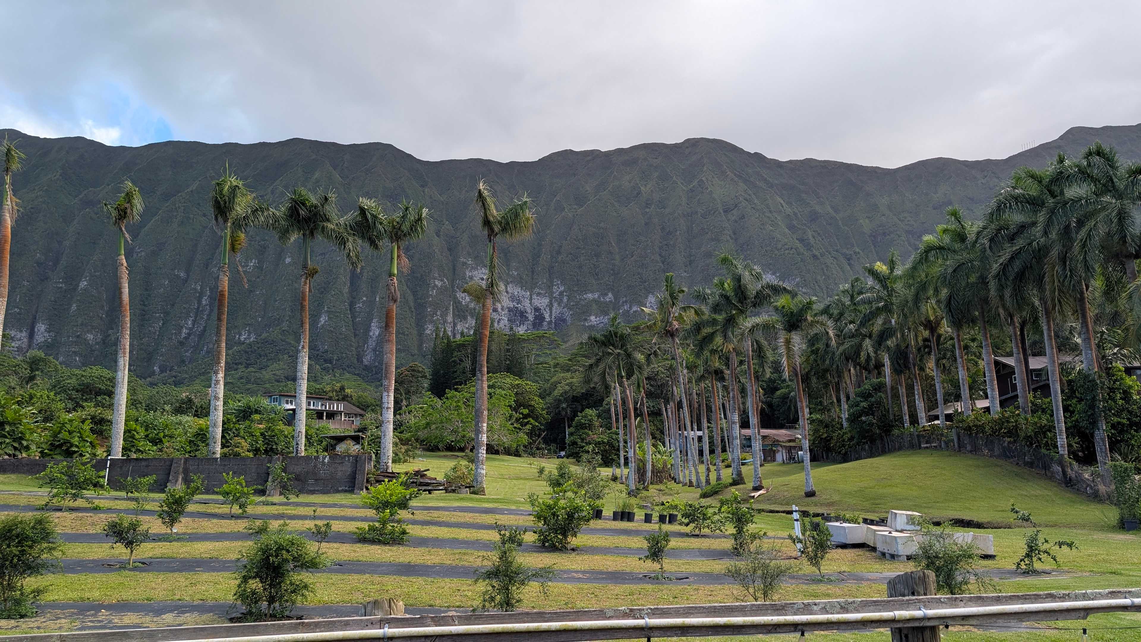 Waimanalo Farmstay