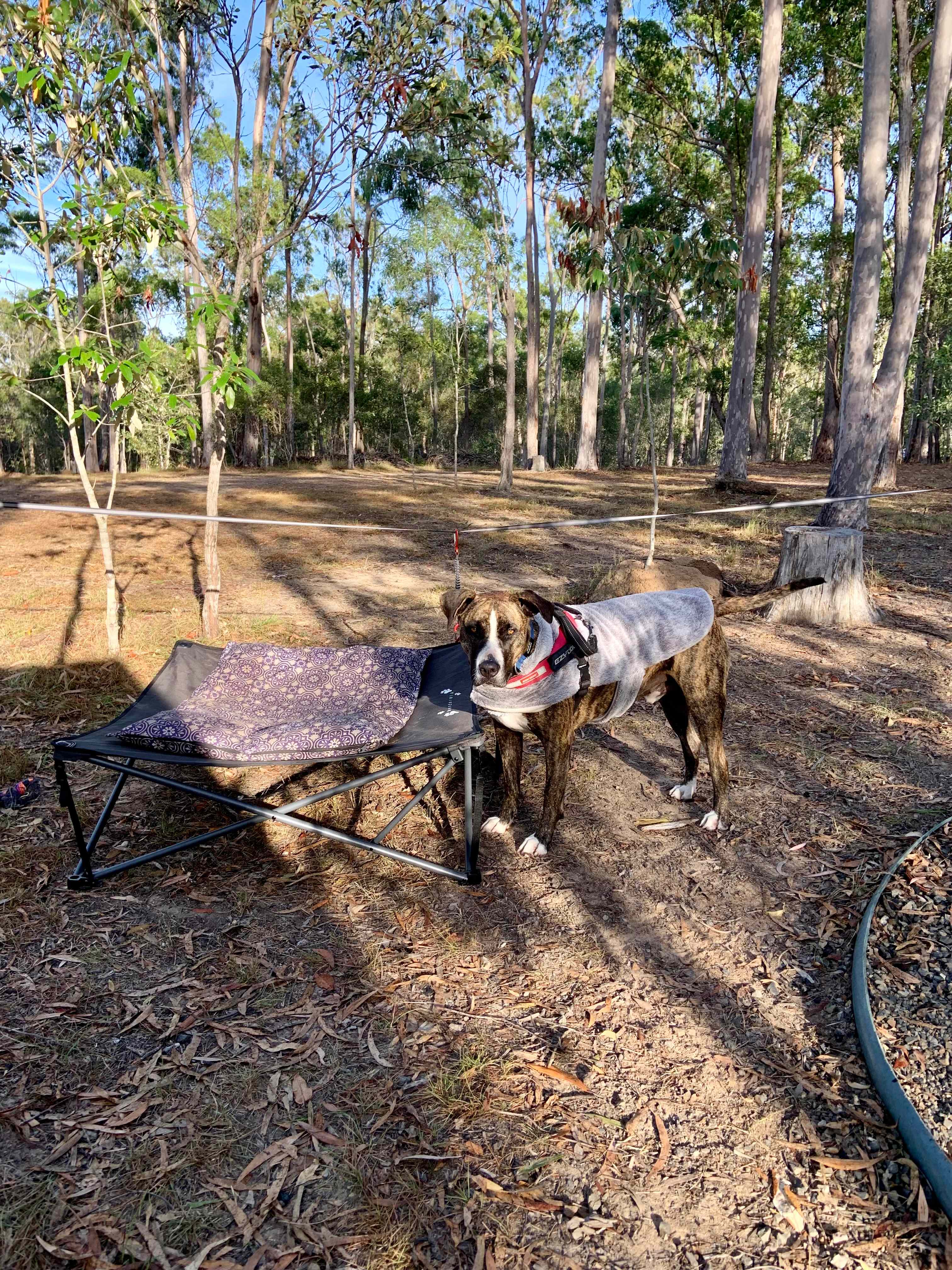 Circles In The Forest bush camp