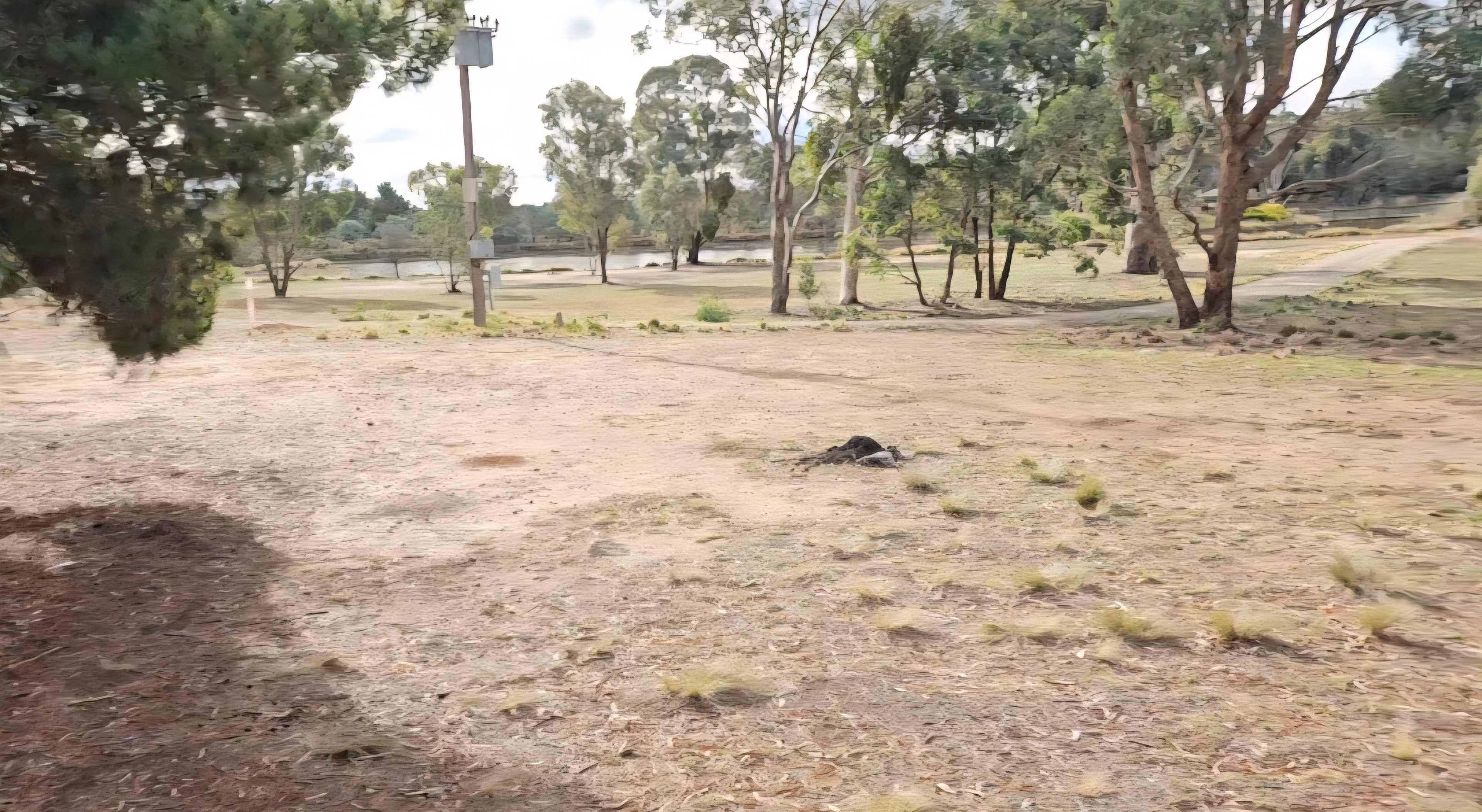 Goolabri Estate