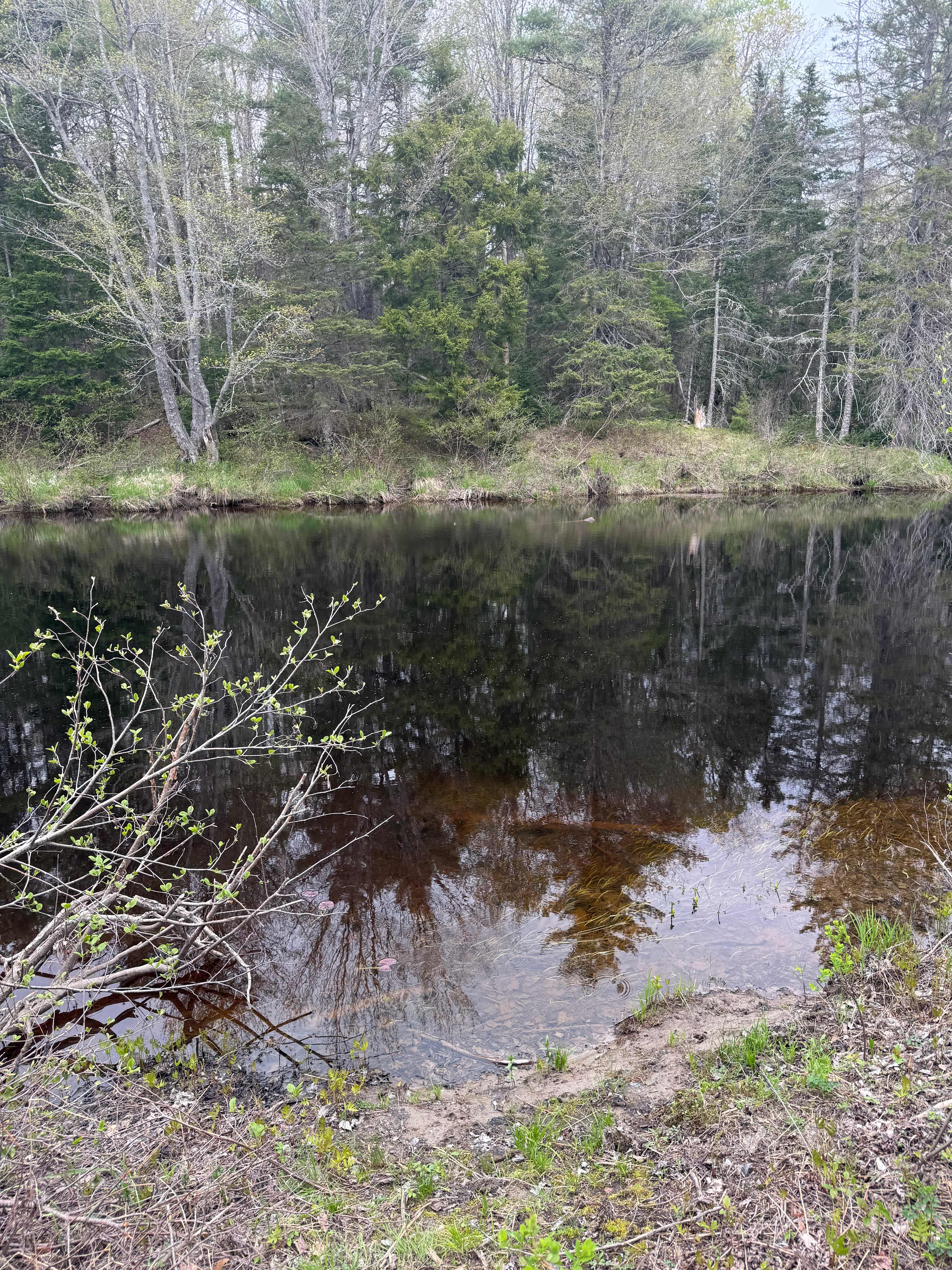 Robinson's Cottages Camping
