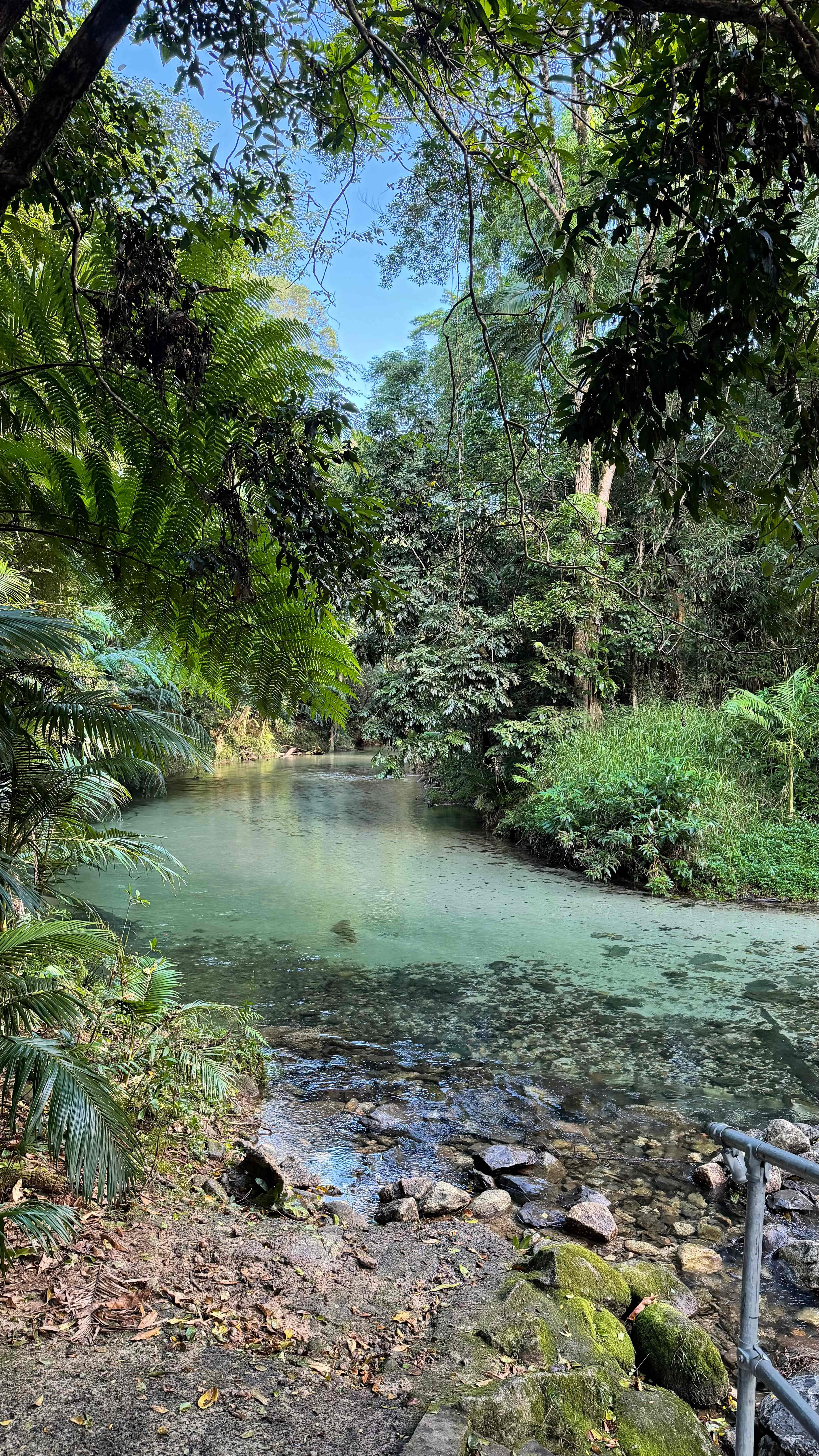 Paradise Camps