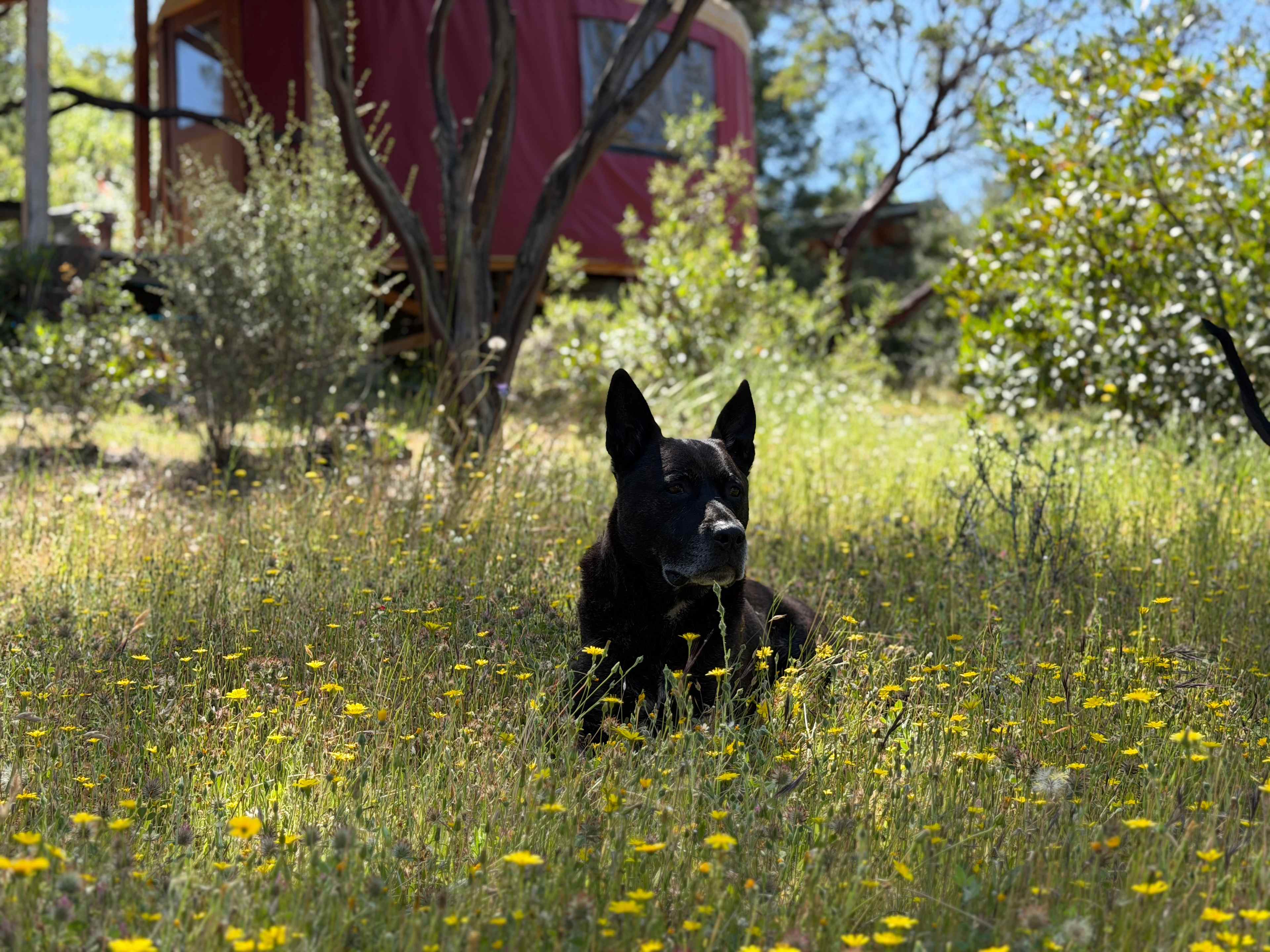 Tranquillity Base Ranch