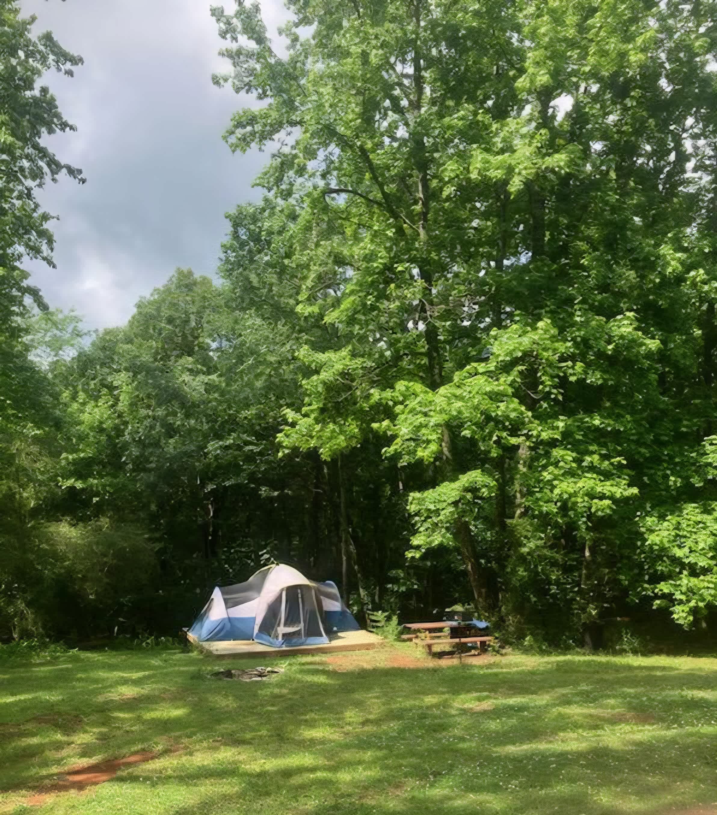 Picture of the site