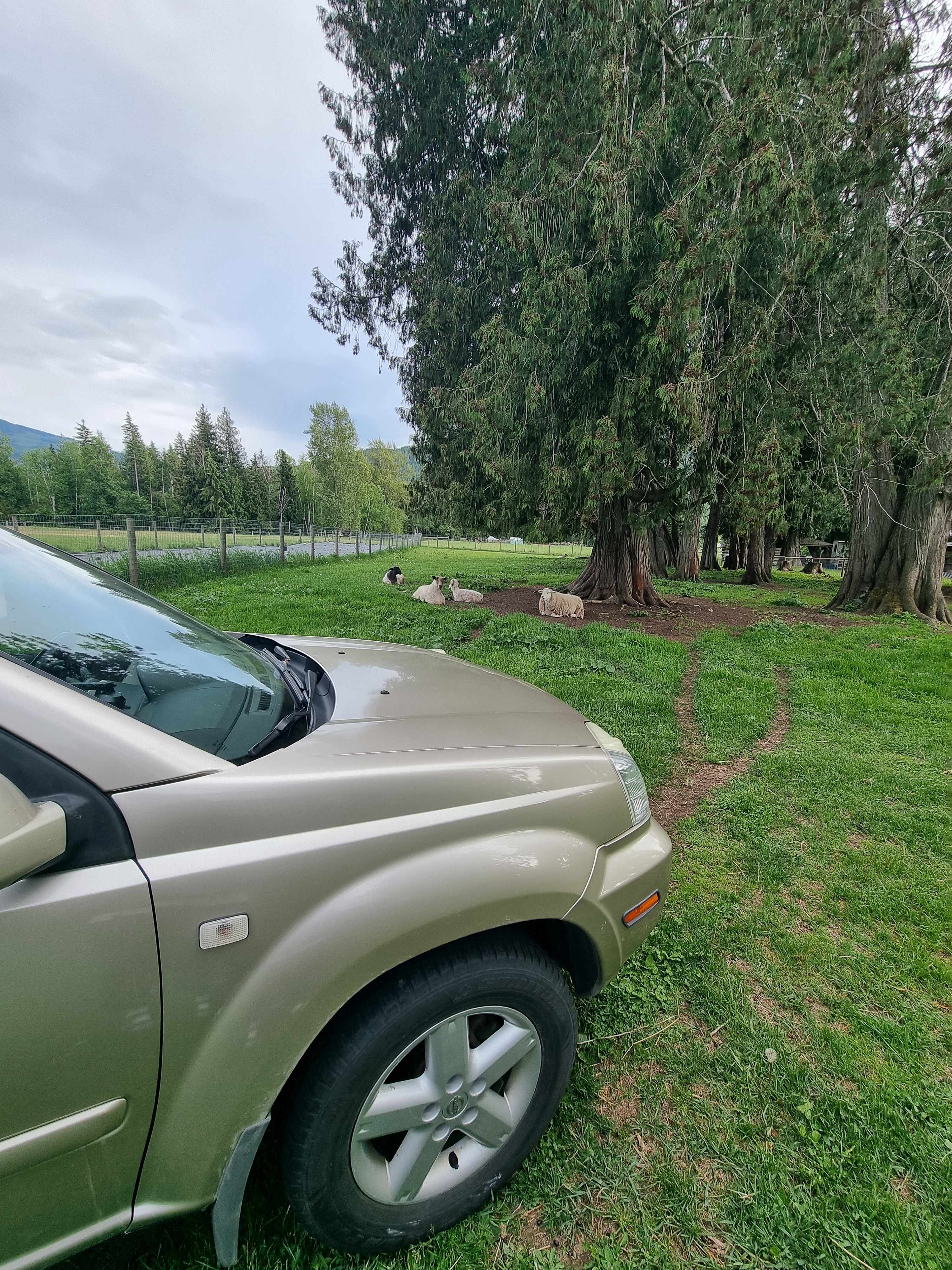 The barn site