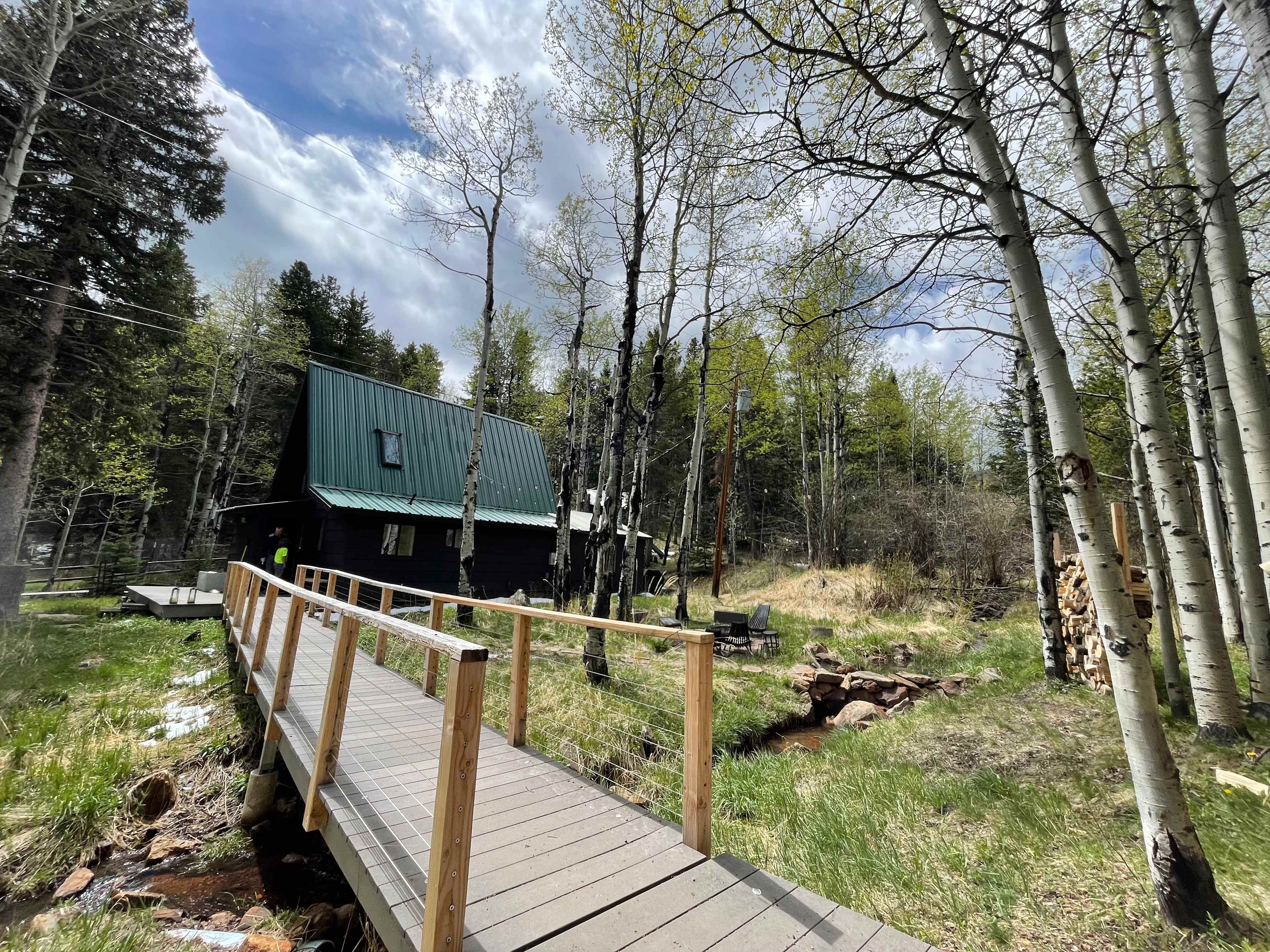 Aspen Forest in Evergreen Colorado