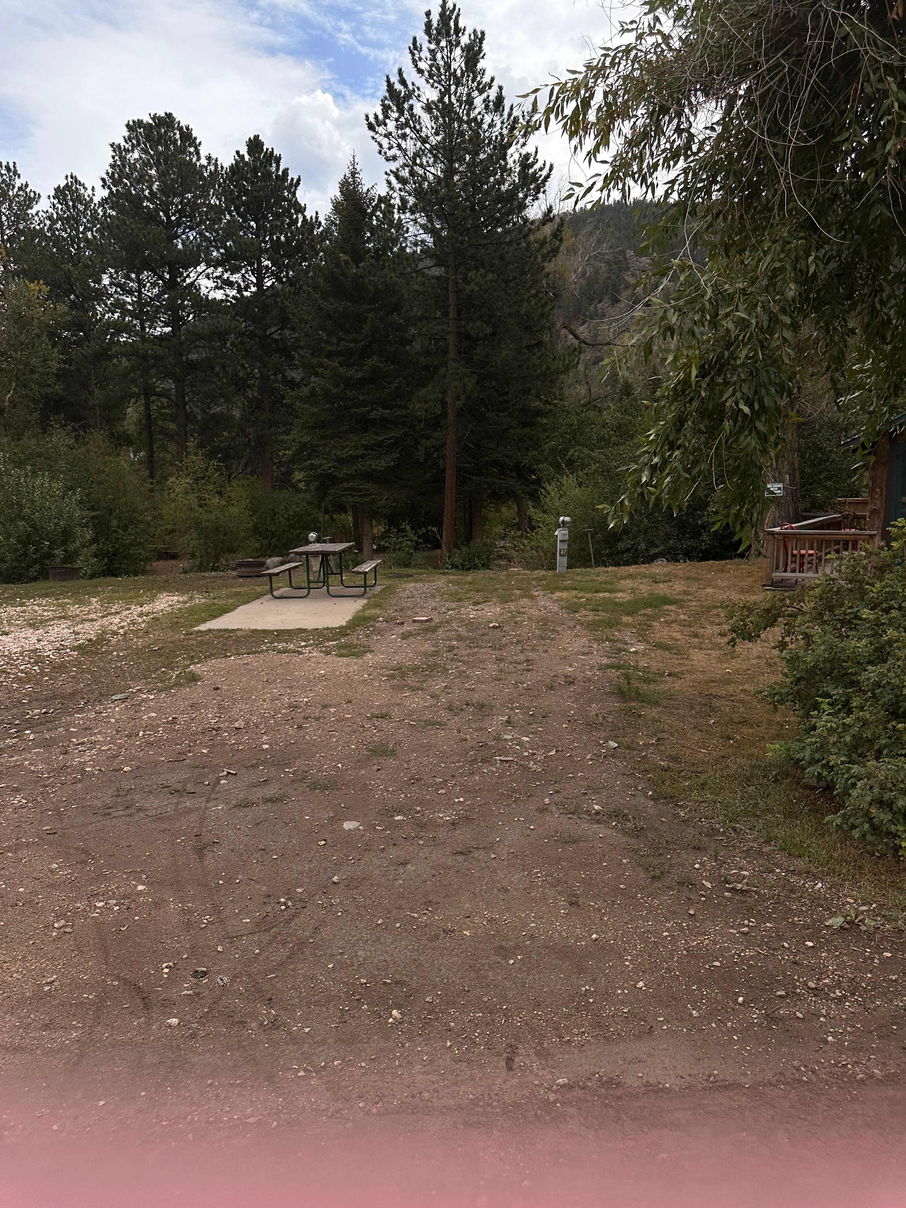 Picture of the site