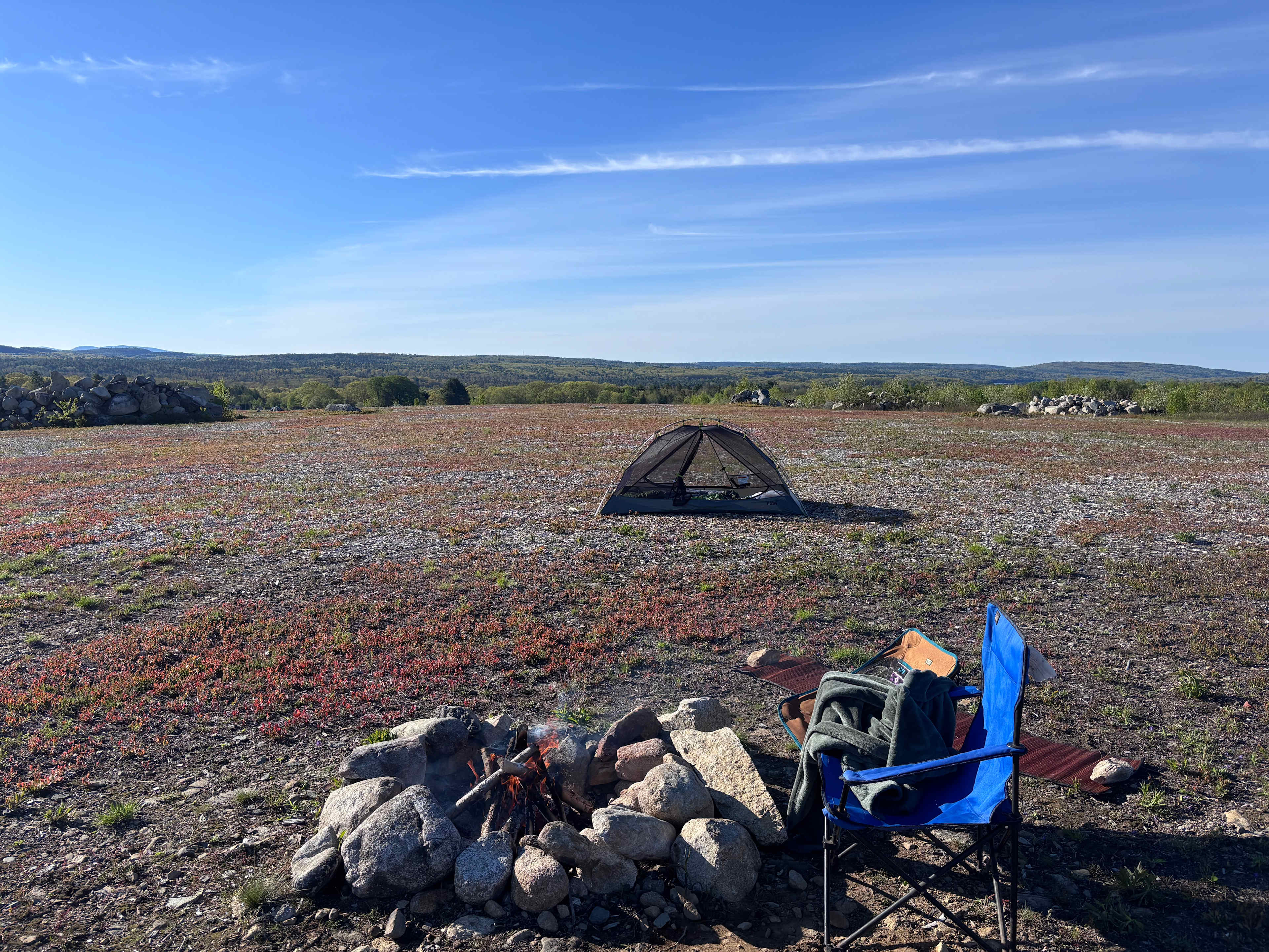 Maine Wild Blueberry Bliss
