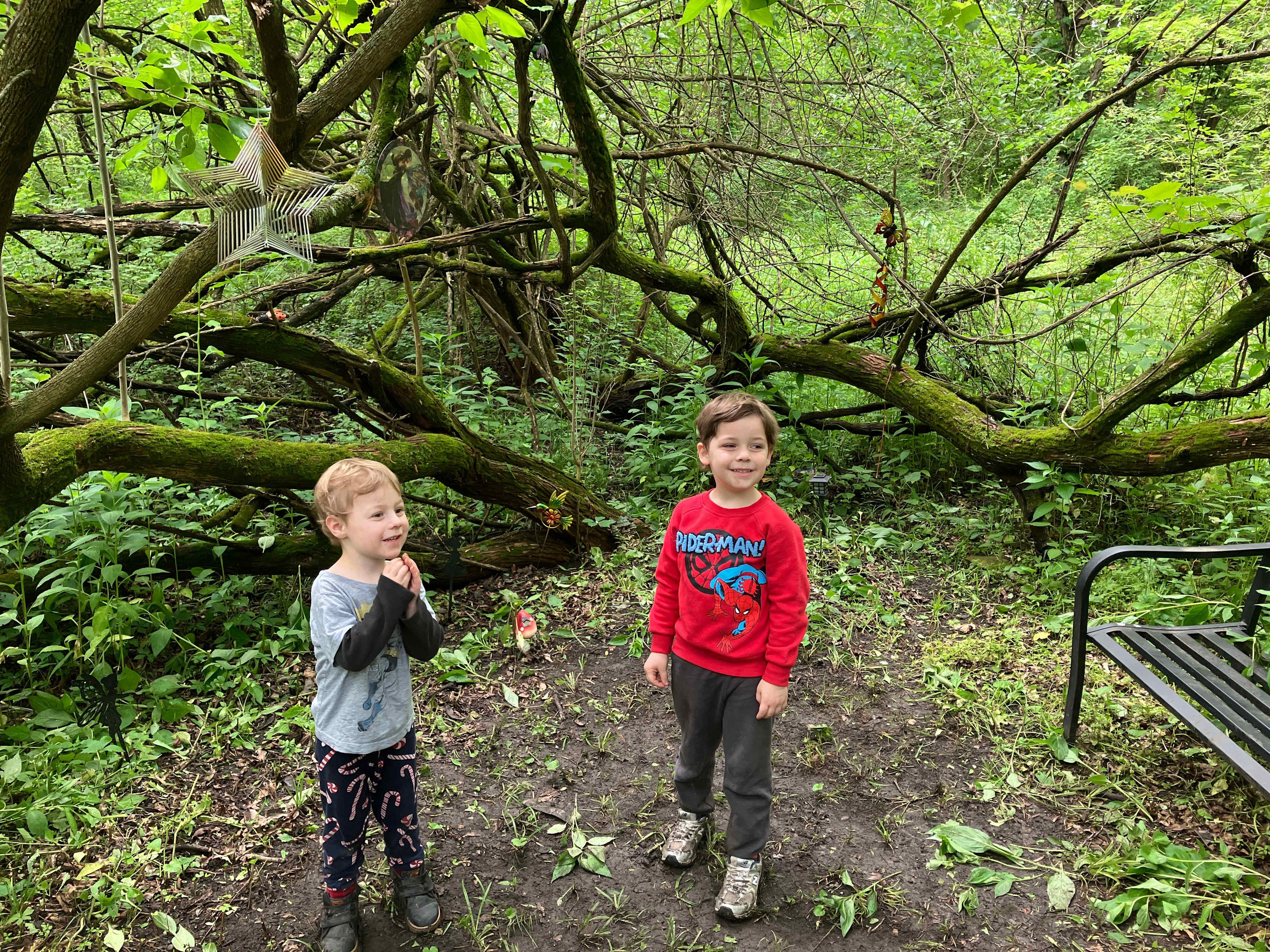 Fangthorn Forest